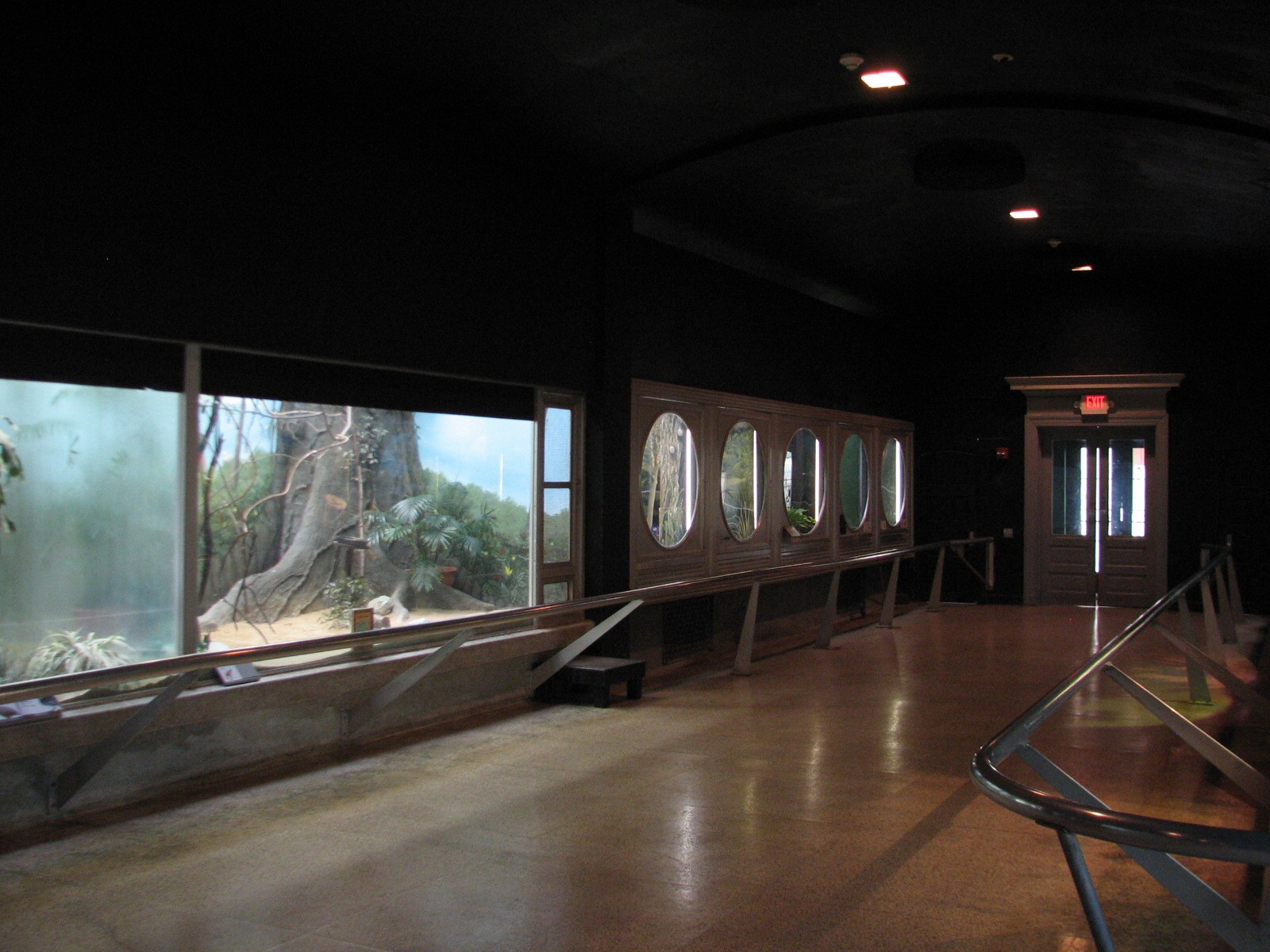 Perching Birds - Exhibit Gallery