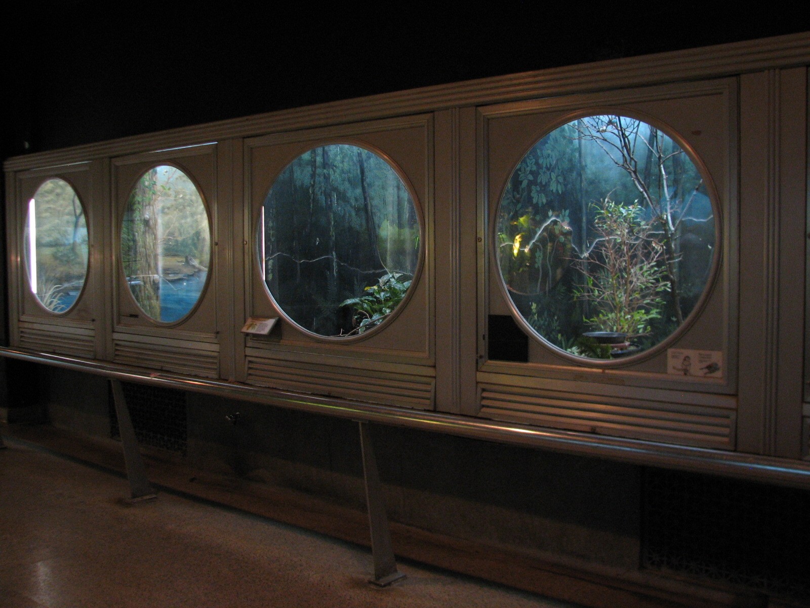 Perching Birds - Exhibit Gallery