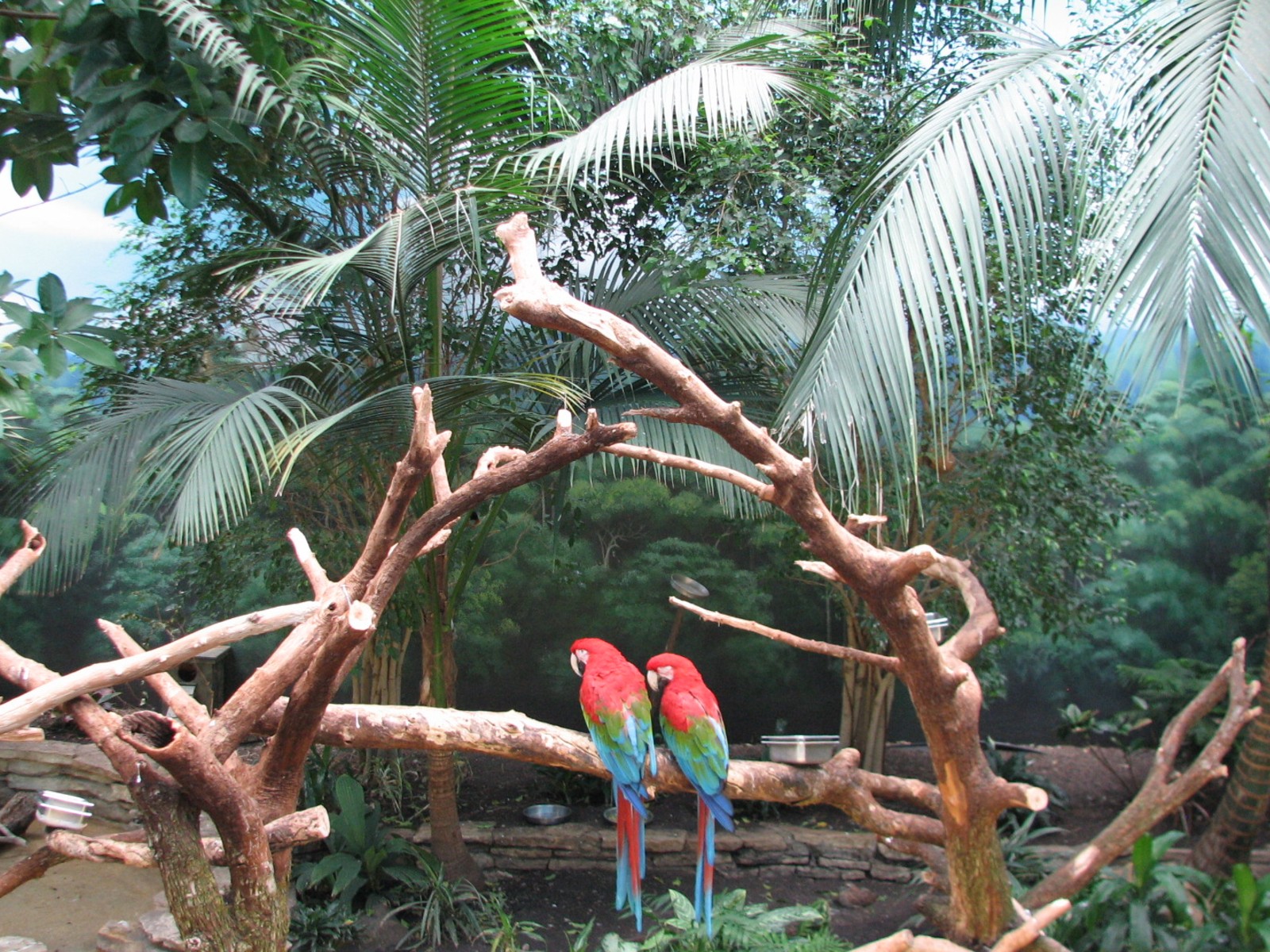 Perching Birds - Walkthrough Aviary