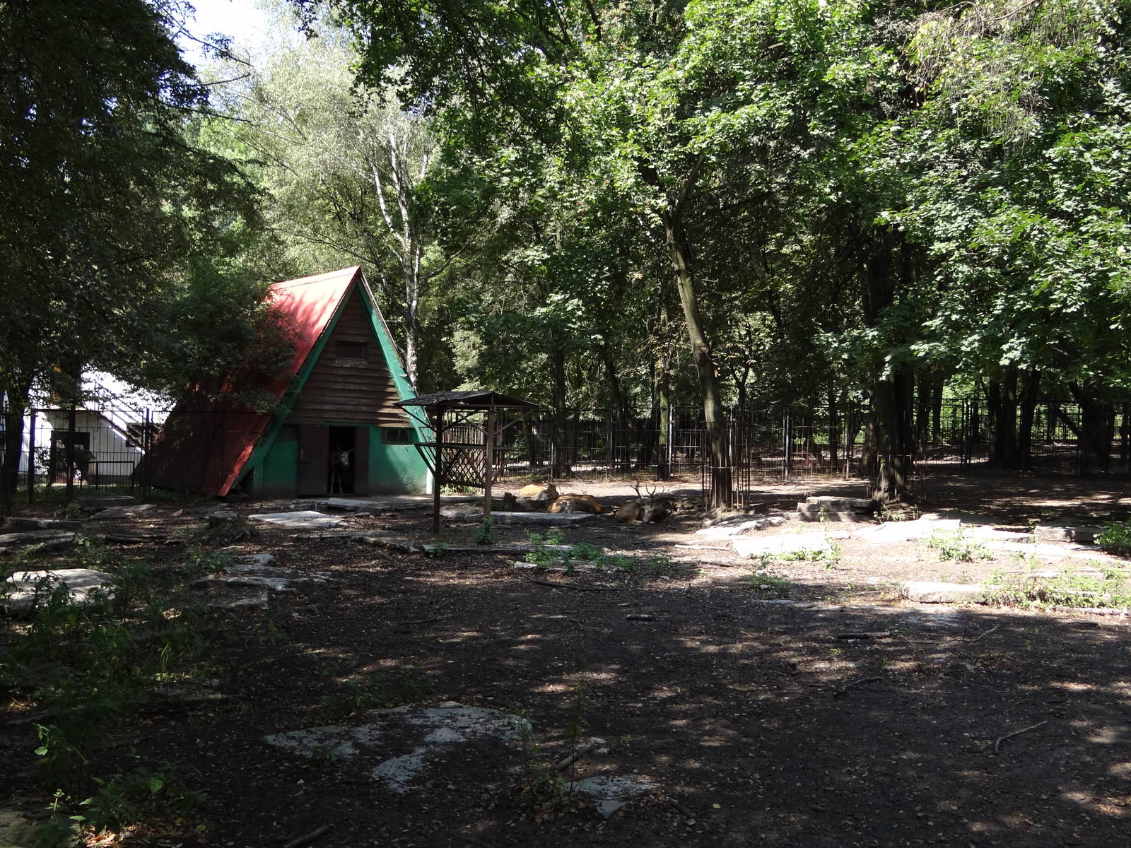 Pere David Deer paddock