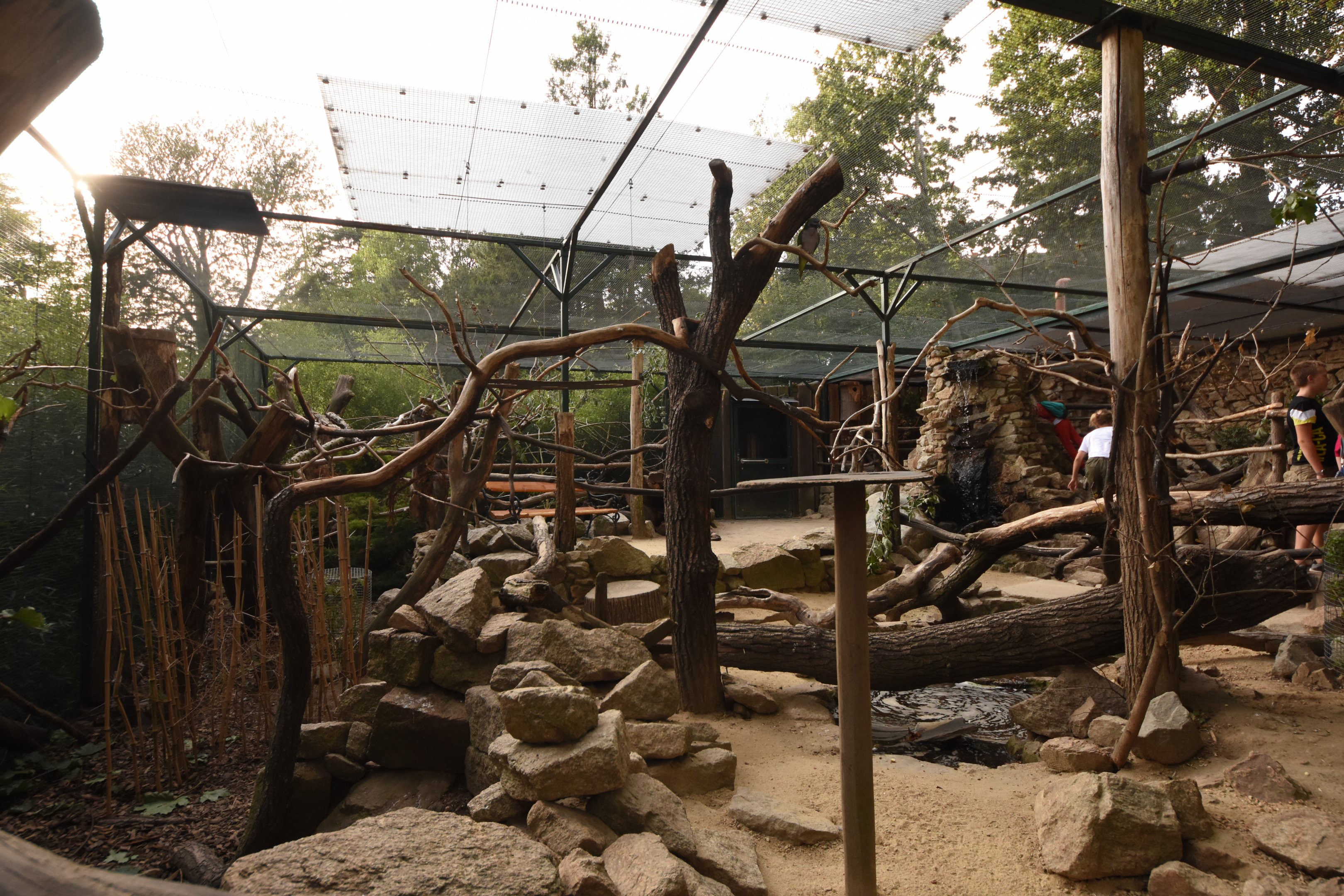 Pere david rock squirrel, Derbyan parakeet, Golden pheasant and Laughingthrush aviary