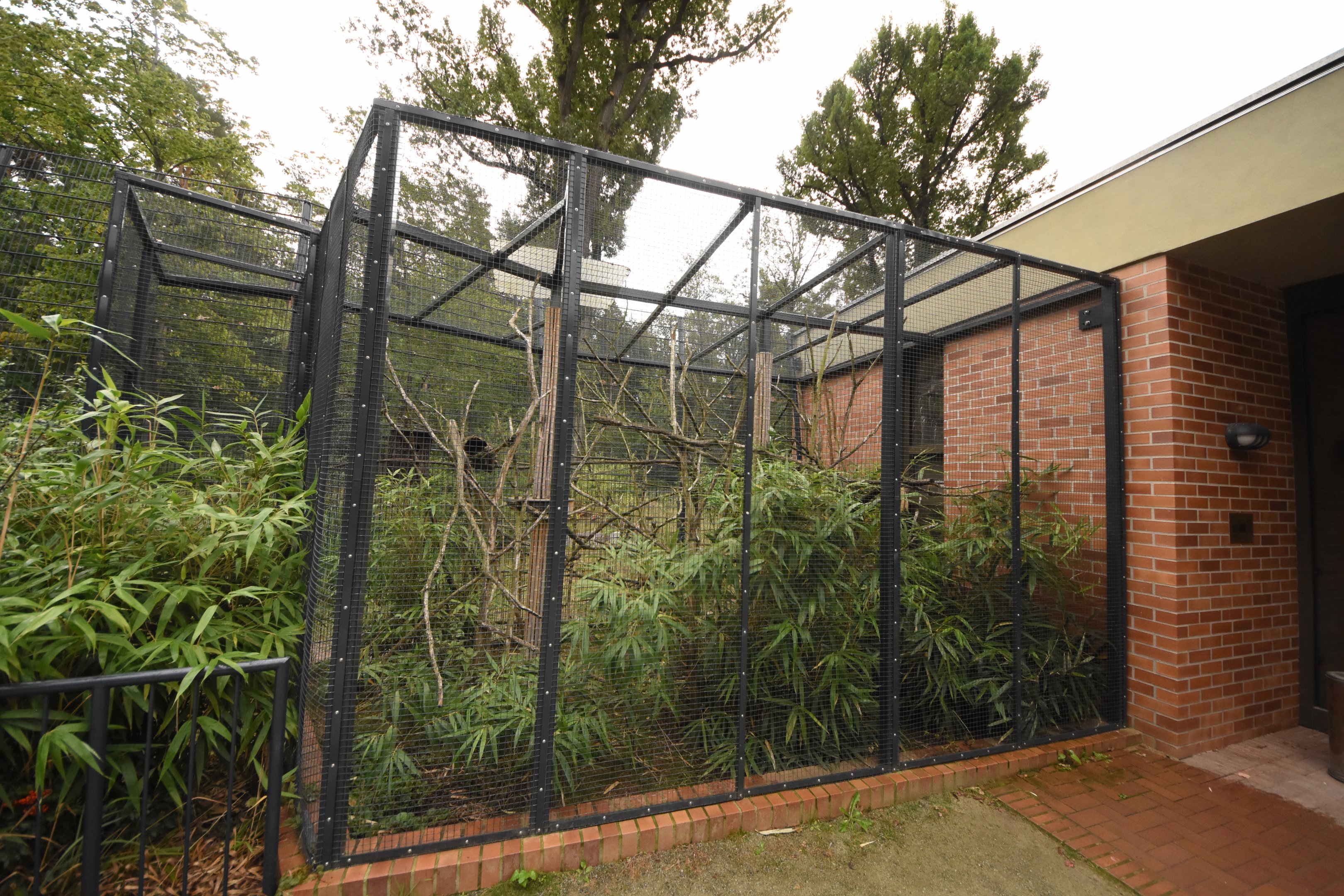 Pere David rock squirrel enclosure