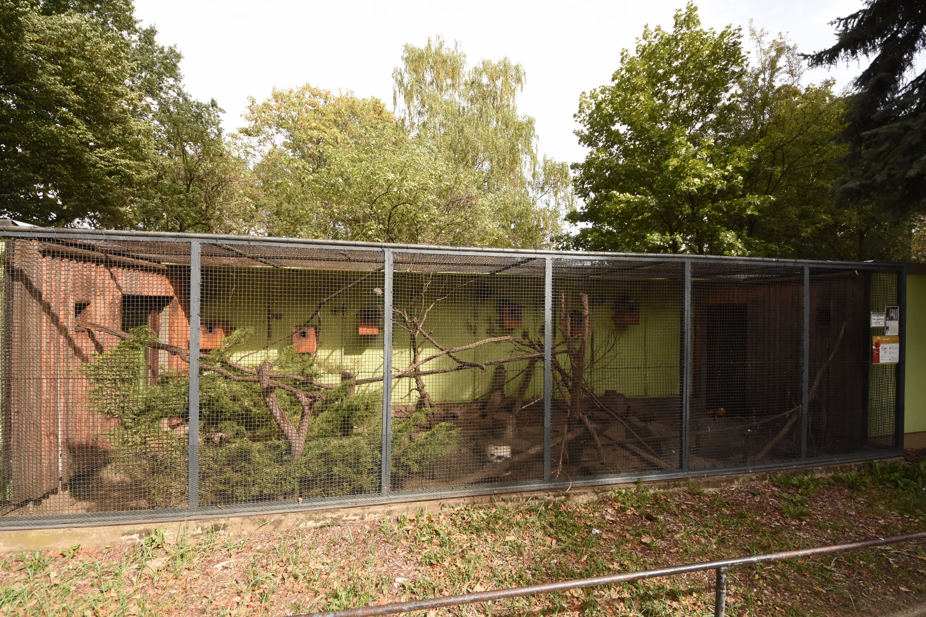 Pere david rock squirrel & Pheasant cage