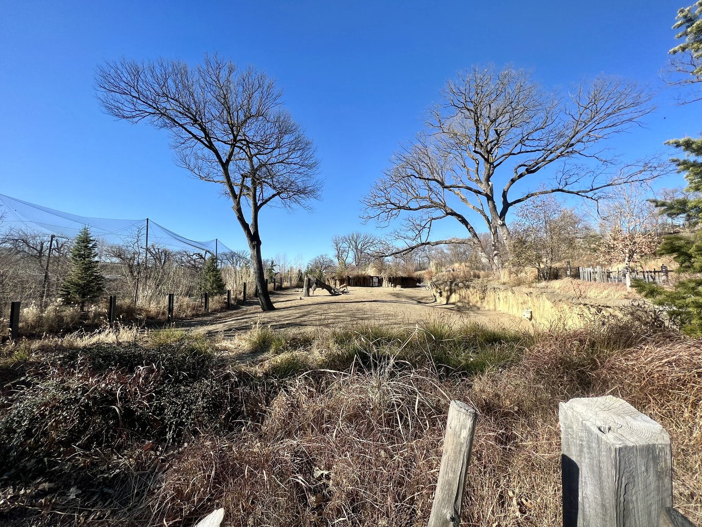 Pere David’s Deer and Greater One-horned Rhinoceros Exhibits
