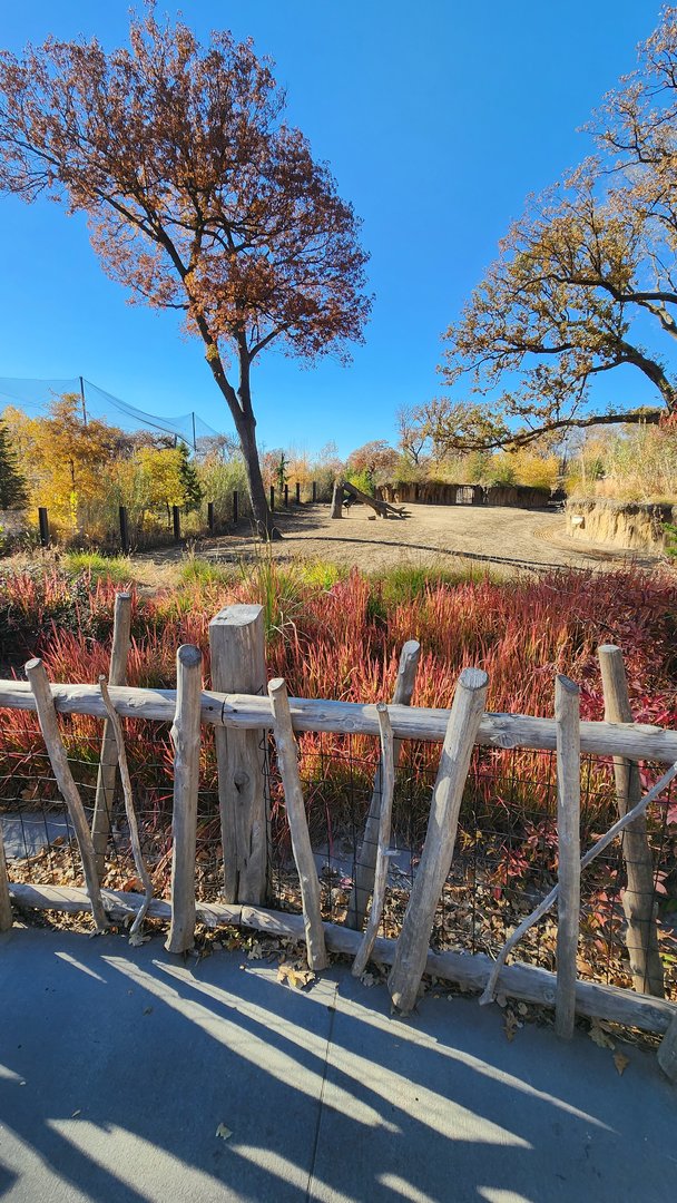 Pere David's Deer and Indian Rhino Exhibit