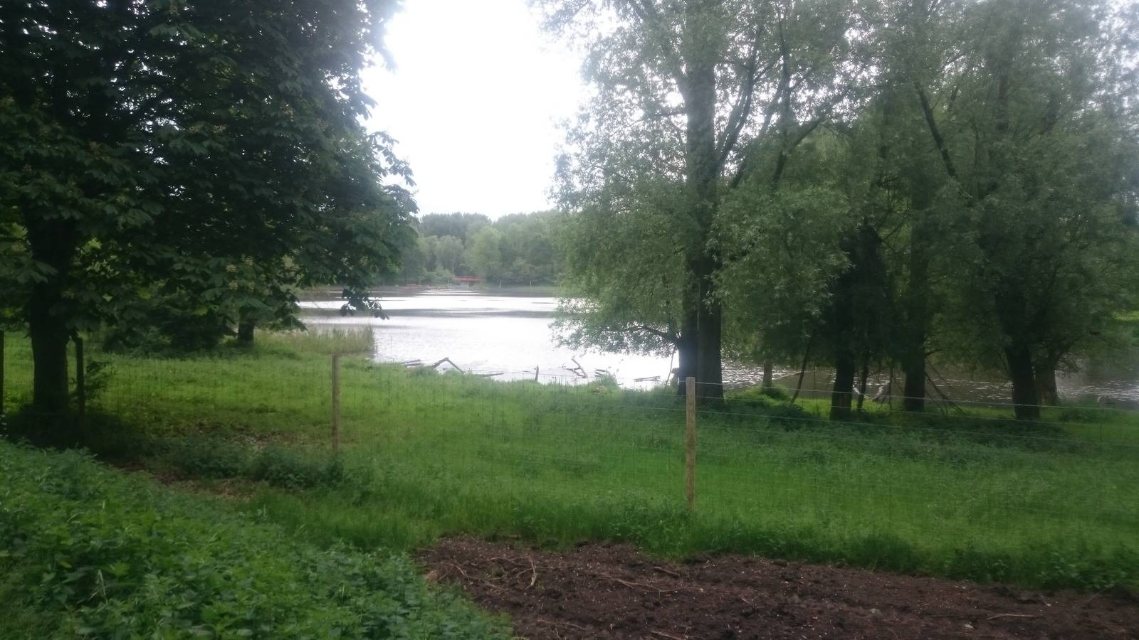 Pere Davids deer enclosure