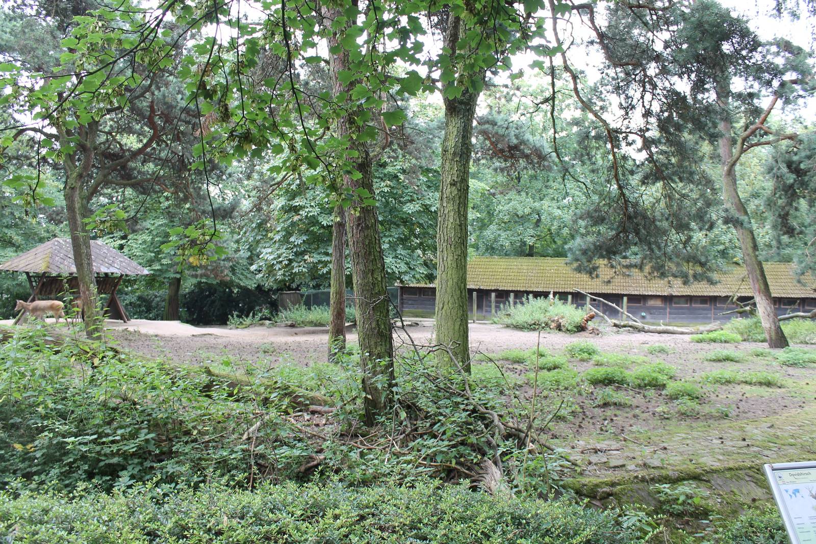 Pere Davids deer enclosure