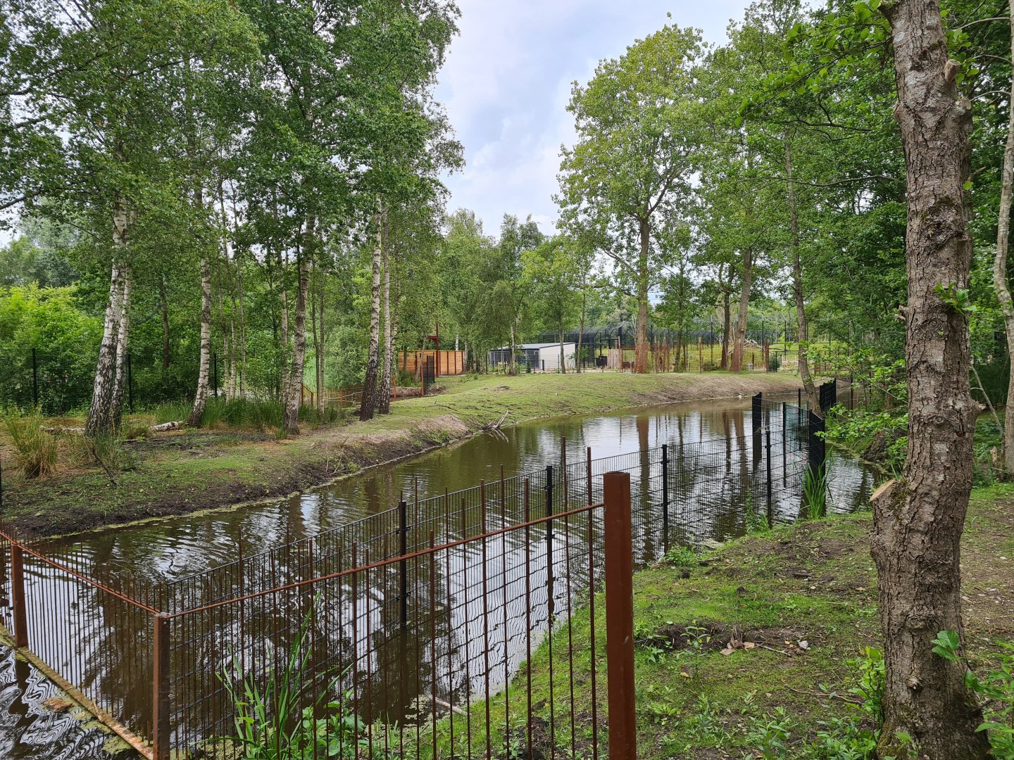 Père David's deer enclosure