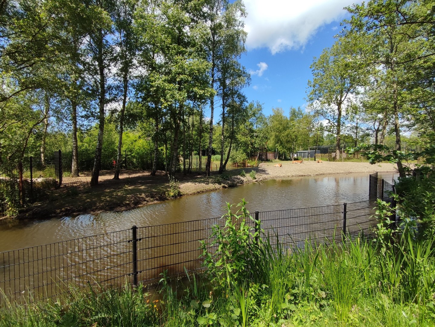 Père David's deer enclosure