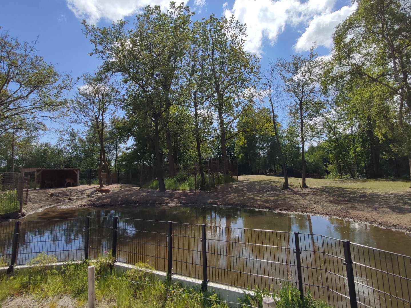 Père David's deer enclosure