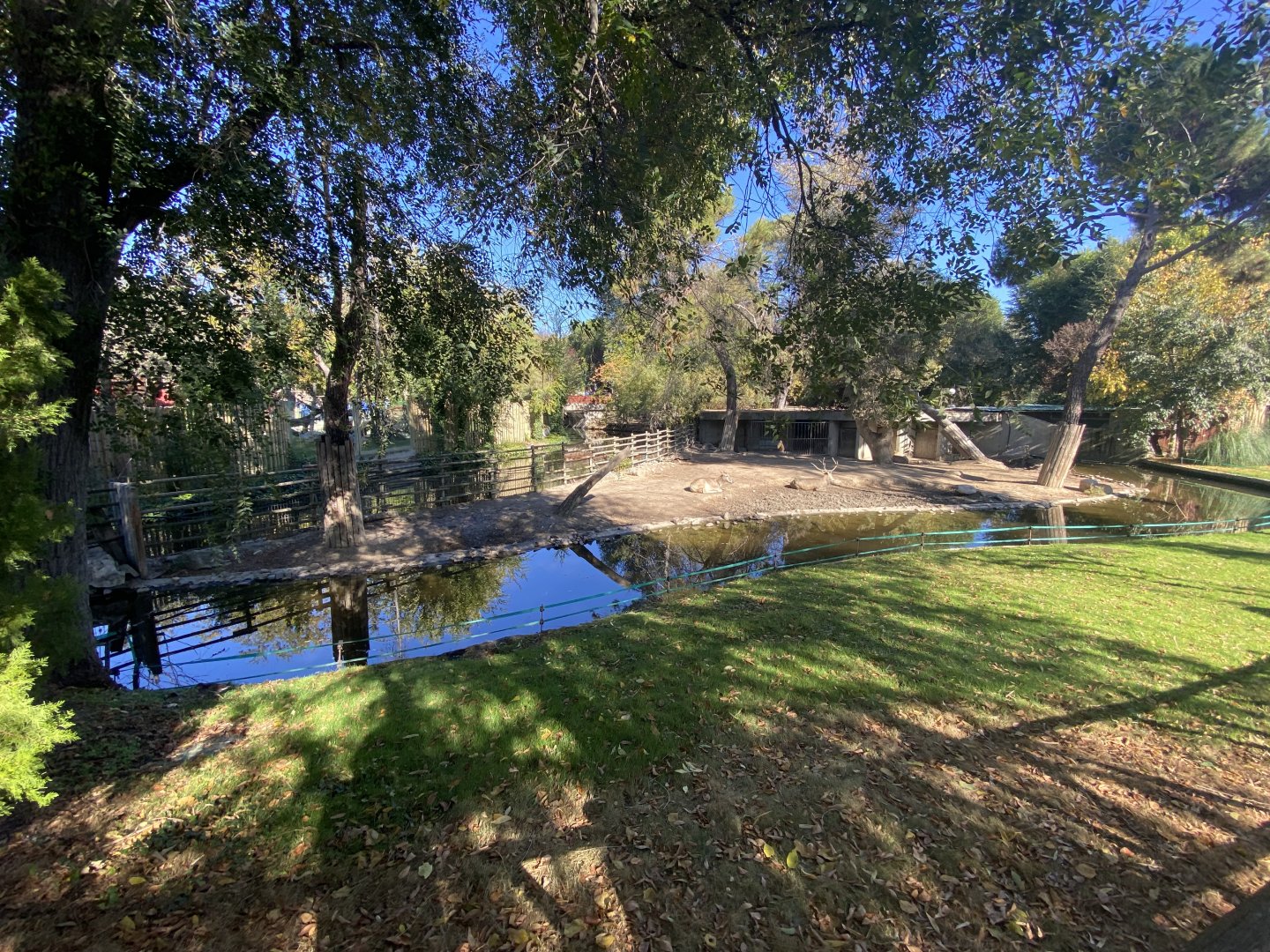 Père David’s deer enclosure