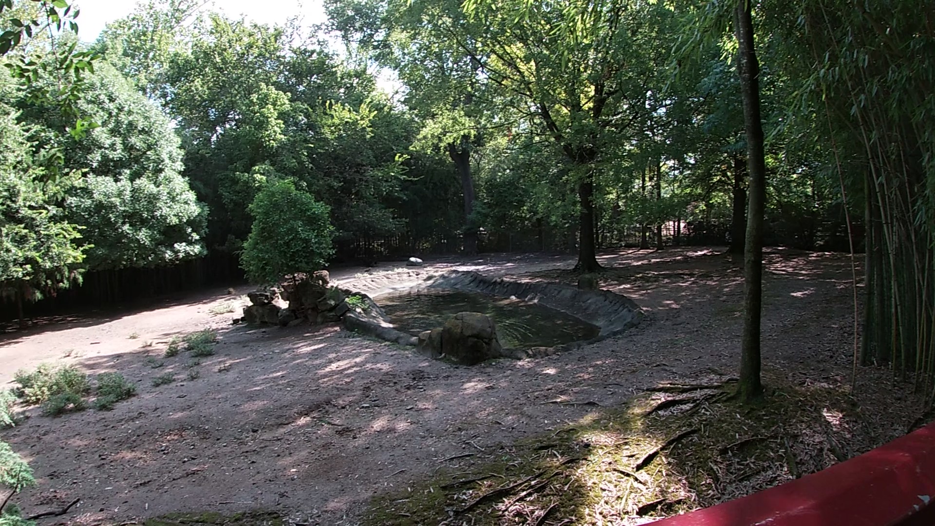 Pere David’s Deer Exhibit, China, Aug. 2020