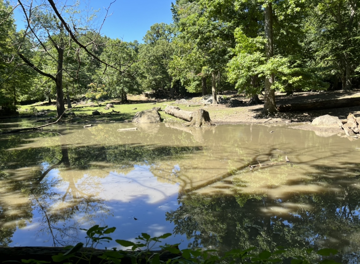 Pere Davids Deer Exhibit(July 2022)