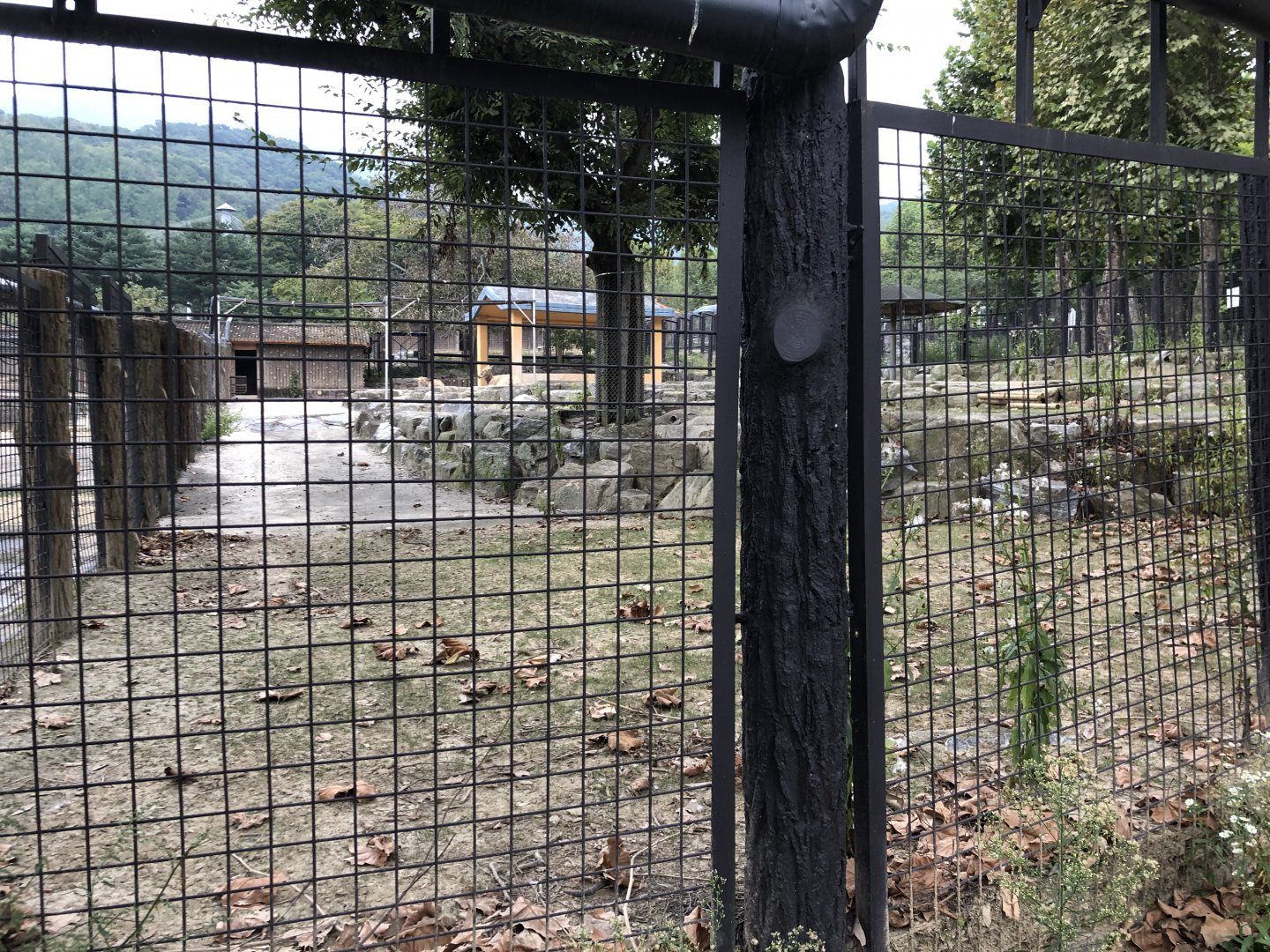 Pere David’s Deer Exhibit