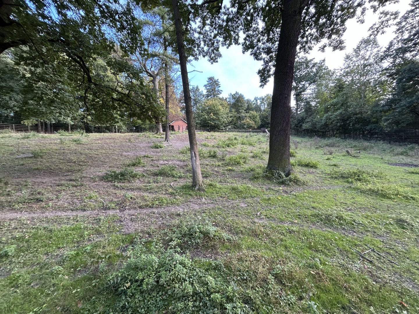 Père David's Deer Exhibit