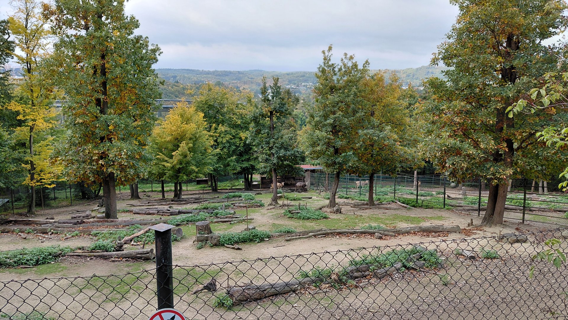 Père David's deer exhibit