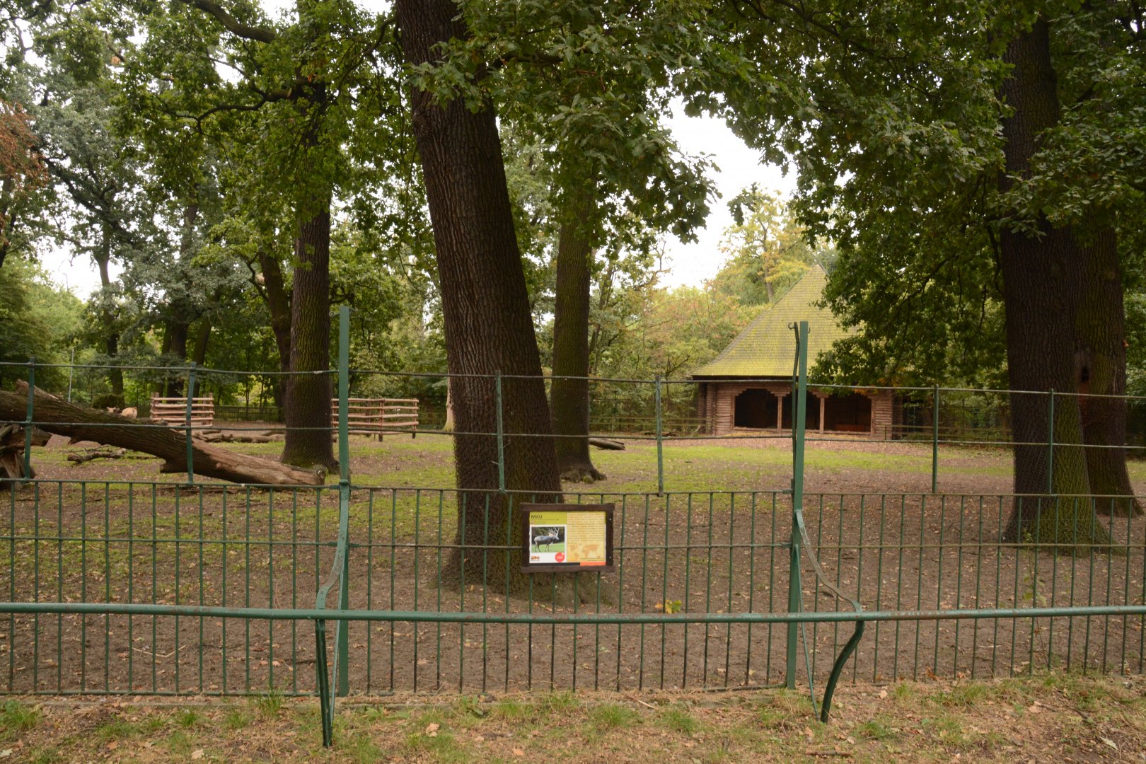 Pere David's Deer paddock
