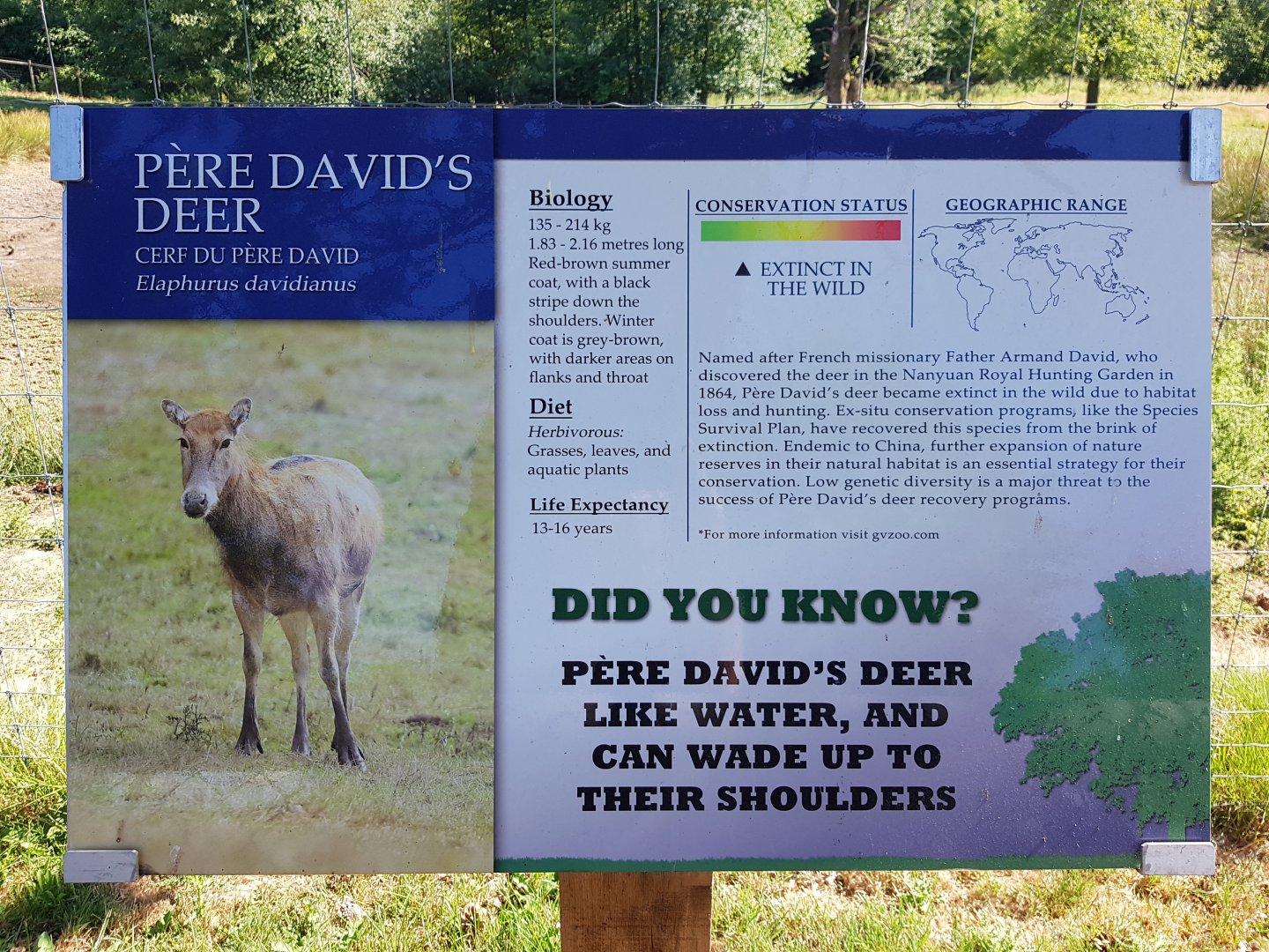 Pere David’s Deer Sign