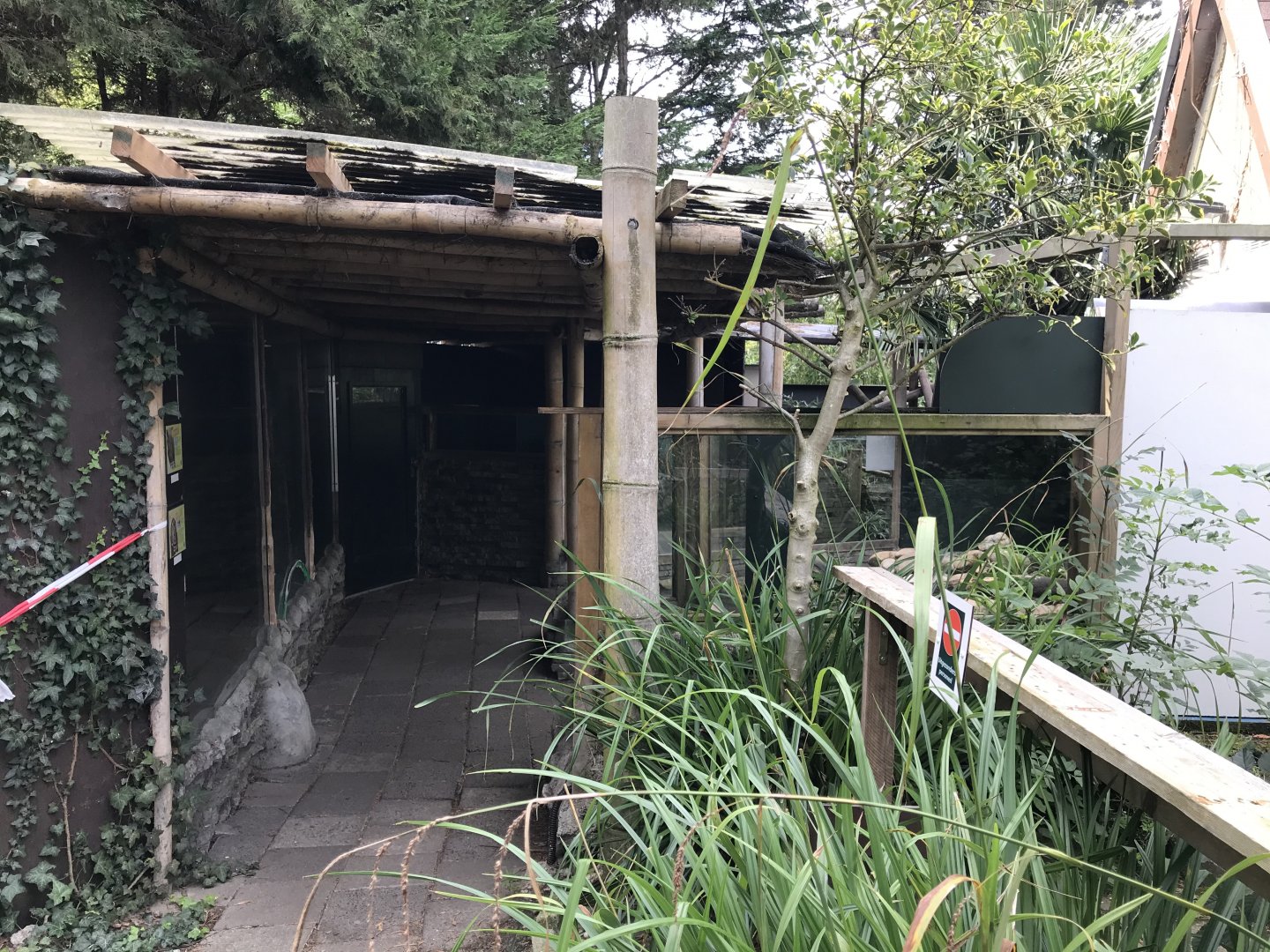 Père David’s rock squirrel and house mouse to left, American mink to right