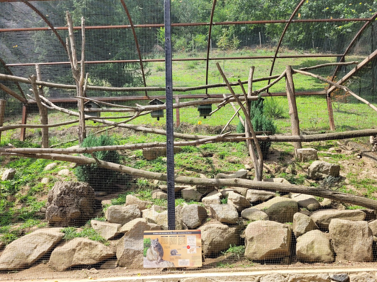 Pére David's rock squirrel exhibit -Parc Animalier des Pyrénées (2023)