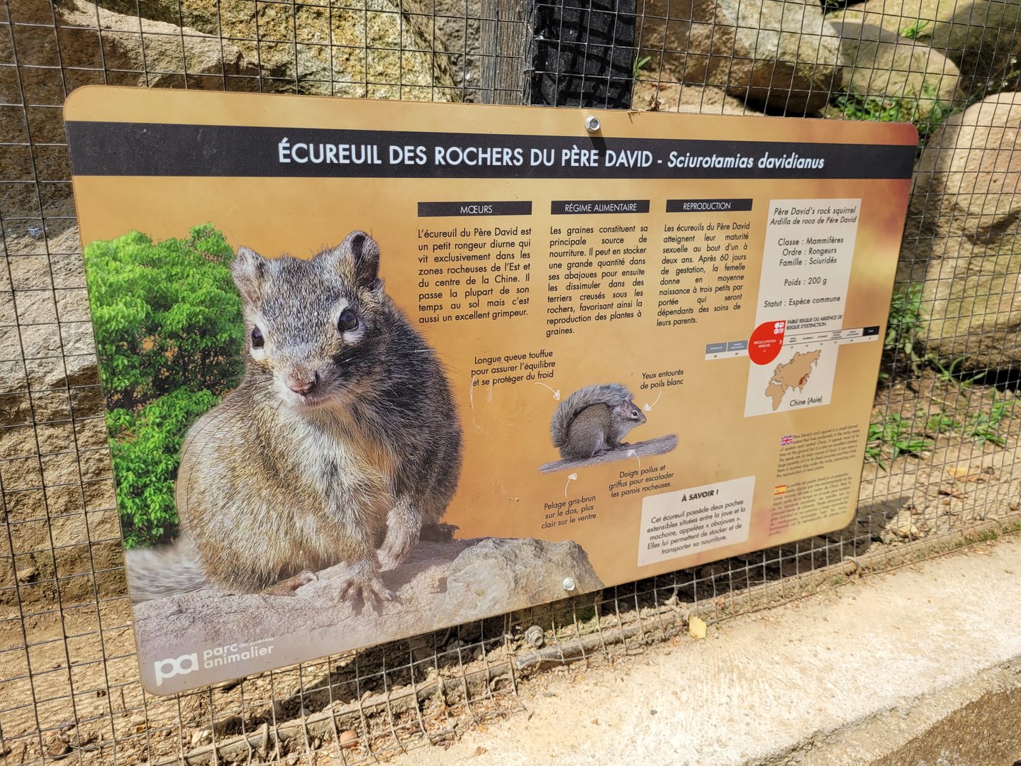 Pére David's rock squirrel sign -Parc Animalier des Pyrénées (2023)