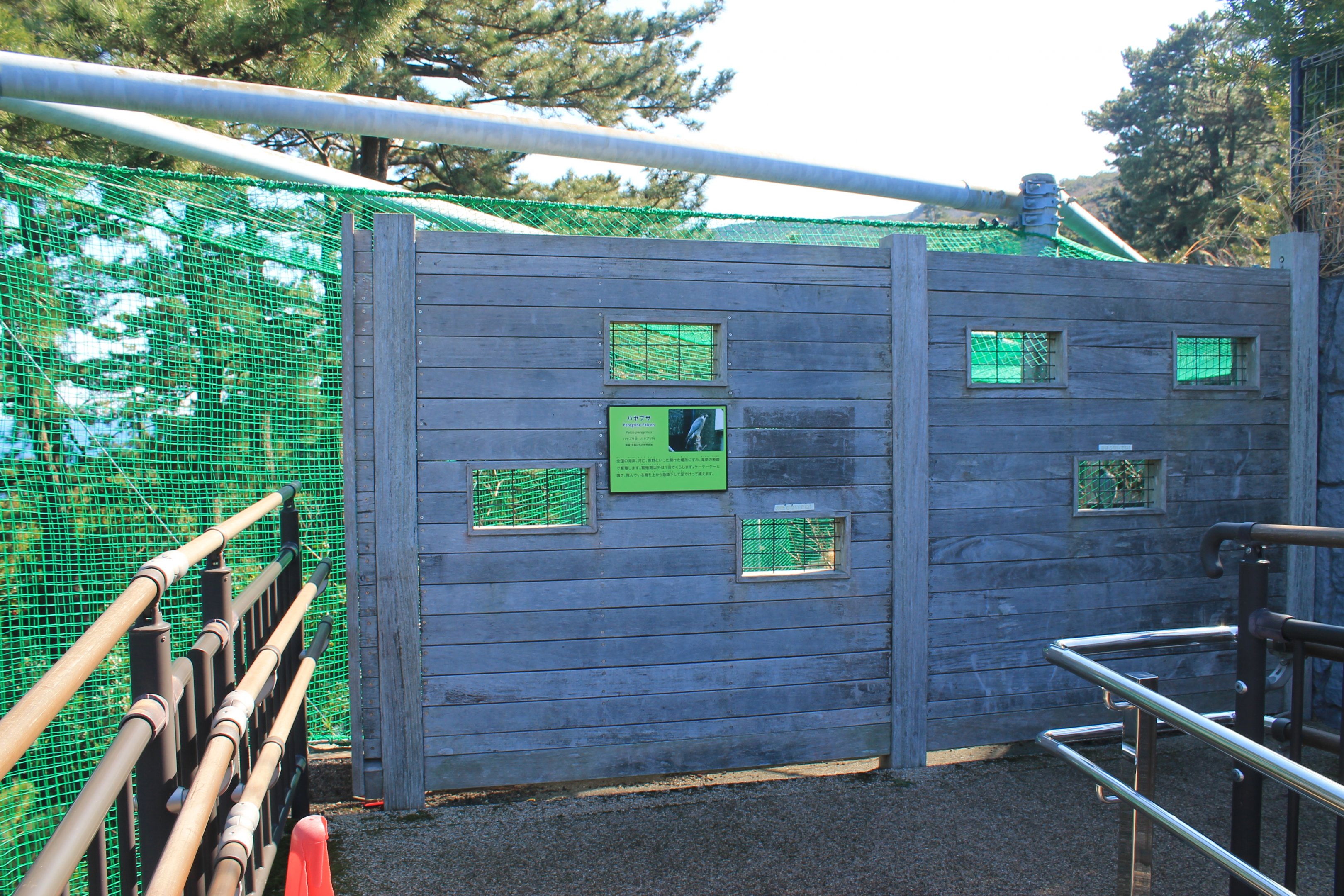 Peregrine Falcon aviary - Oshima Park Zoo