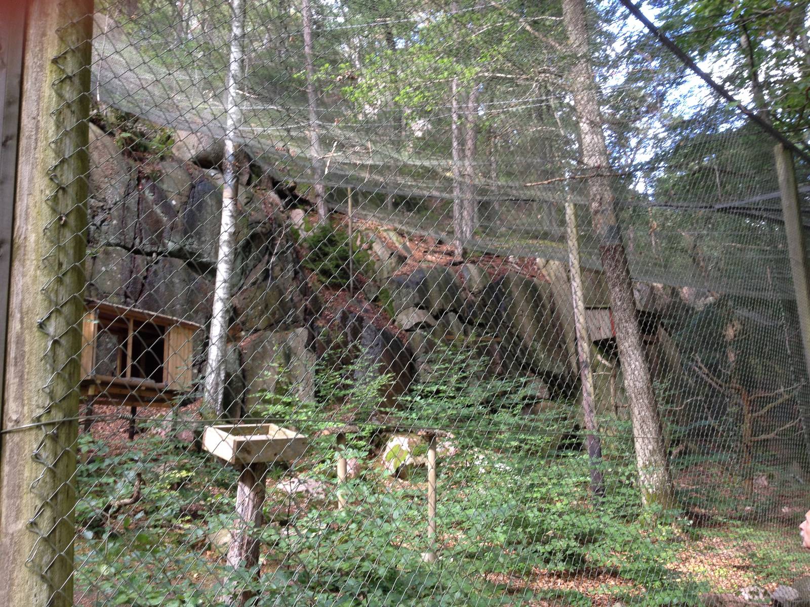 Peregrine falcon aviary