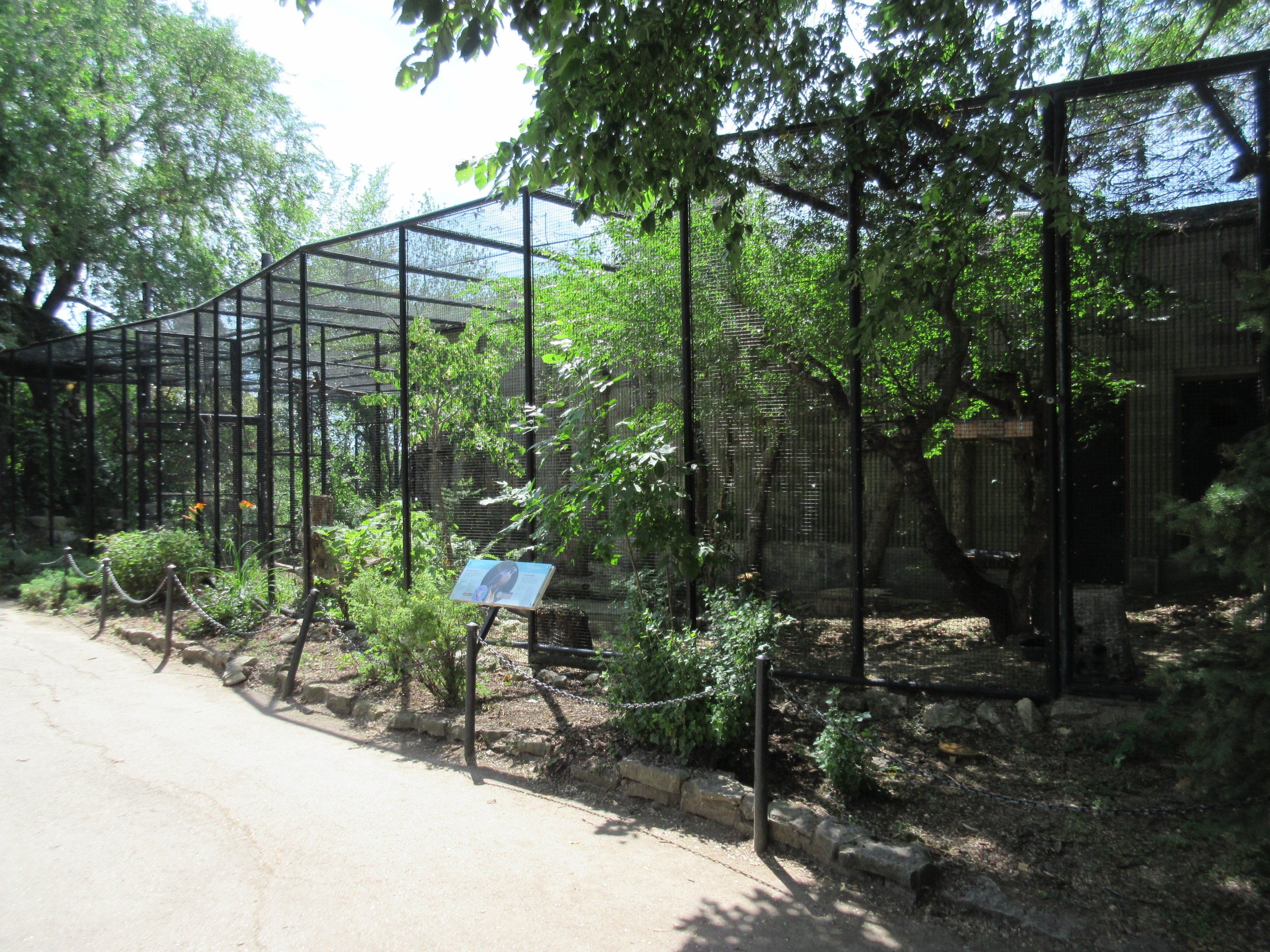 Peregrine Falcon + Bald Eagle Exhibits