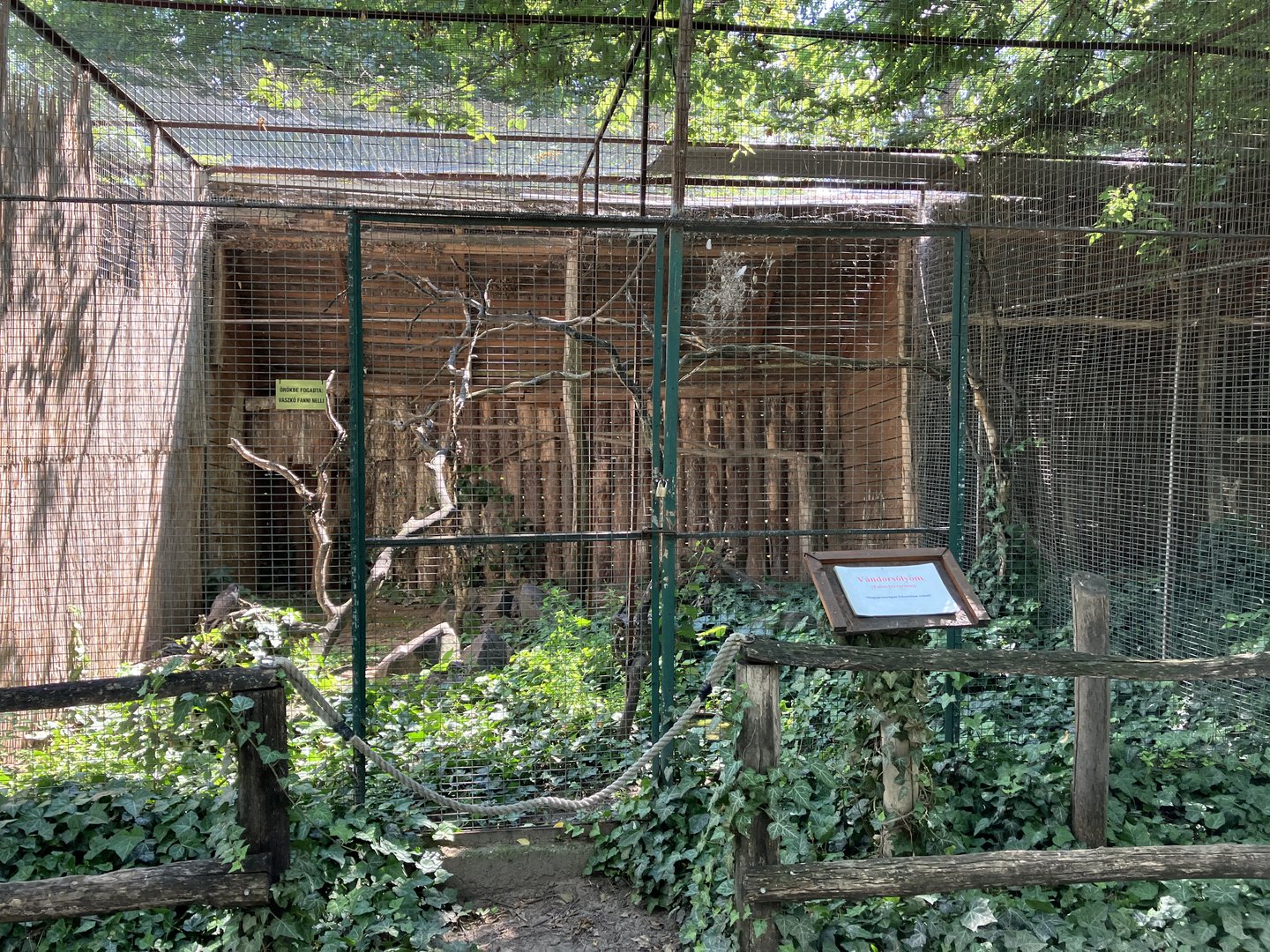 Peregrine falcon cage