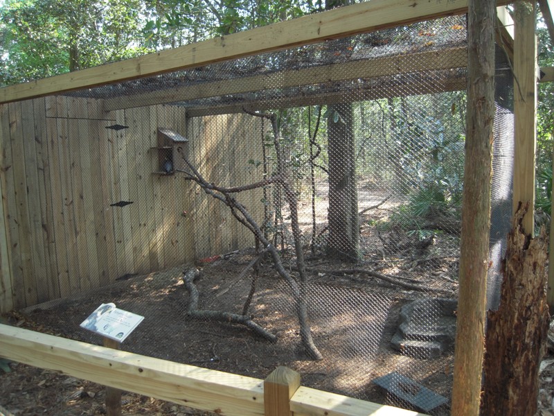 Peregrine Falcon Enclosure - Wolf Wilderness
