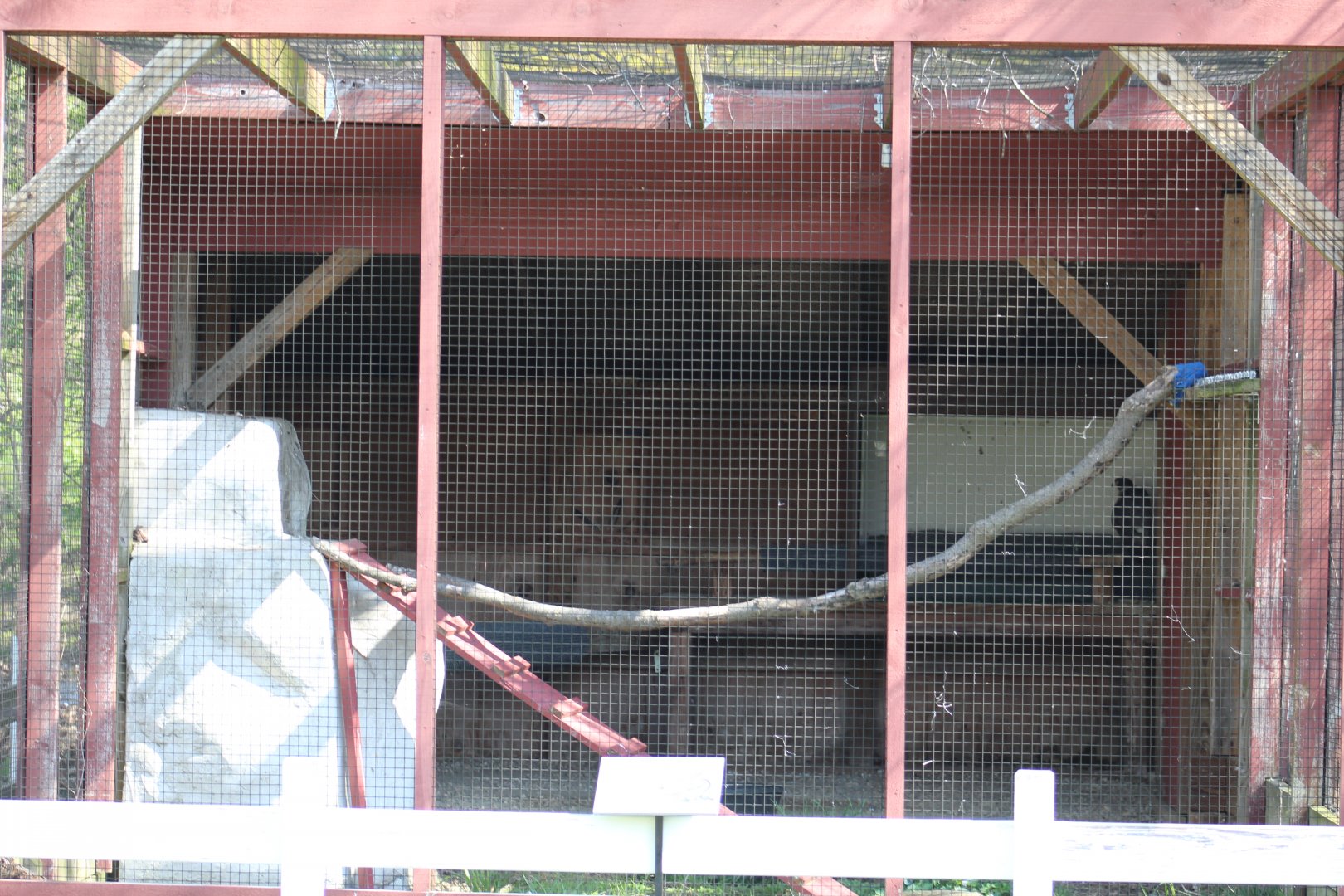 Peregrine Falcon Enclosure