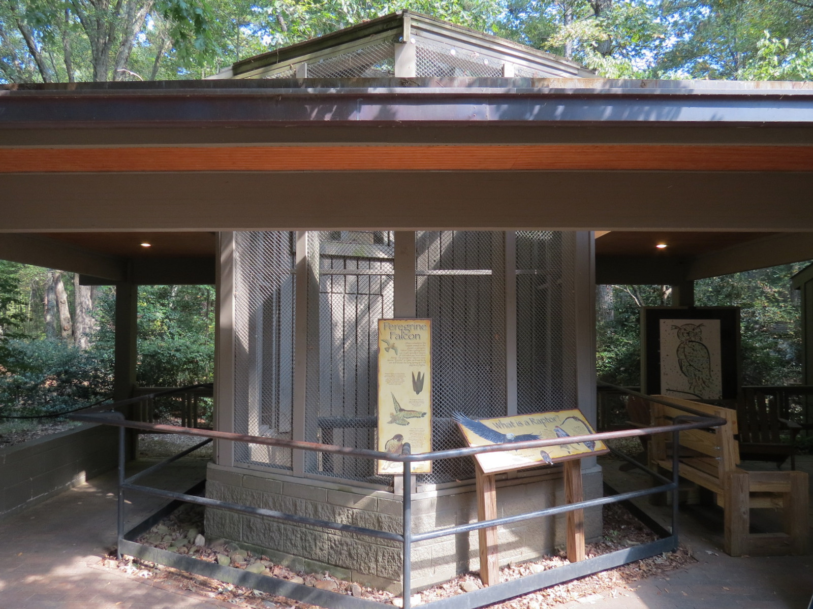 Peregrine Falcon Exhibit 1