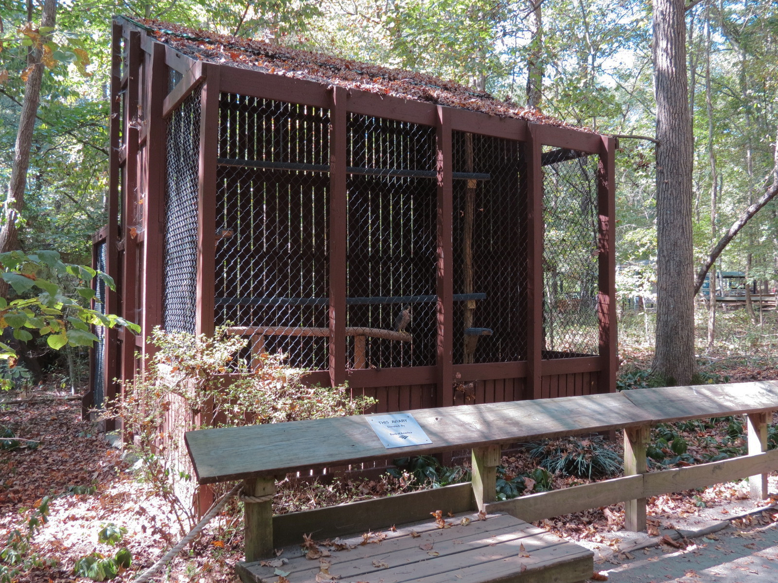 Peregrine Falcon Exhibit 2