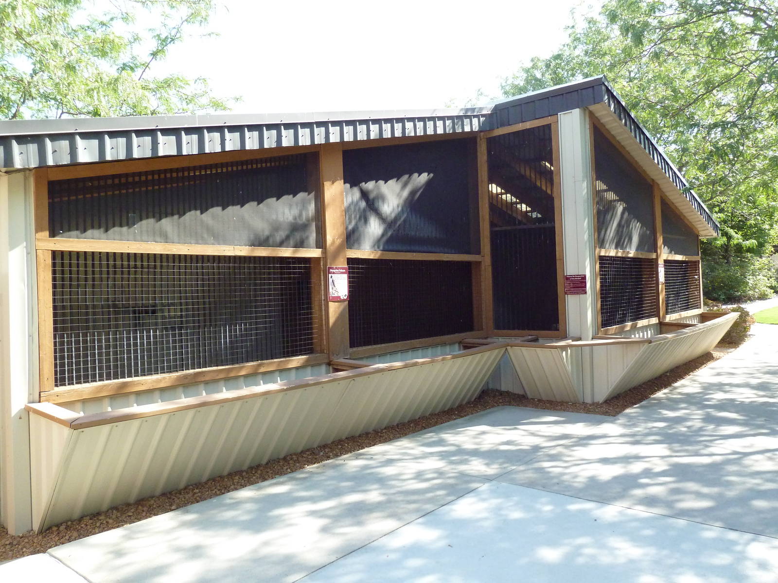 Peregrine Falcon Exhibit