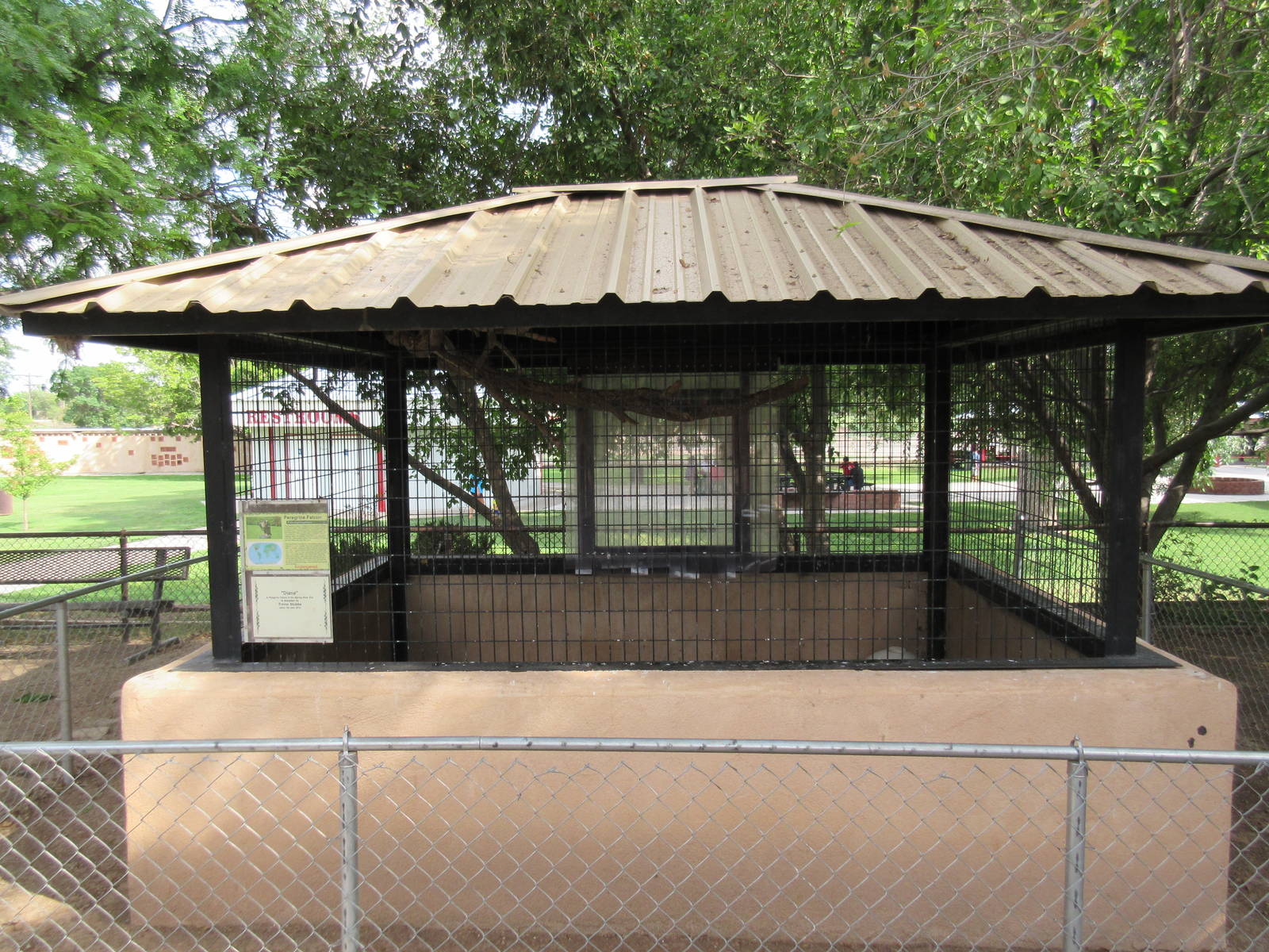 Peregrine Falcon Exhibit