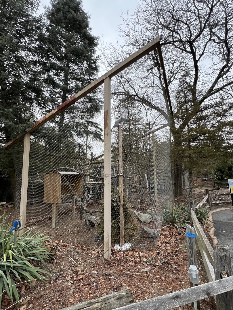 Peregrine Falcon Exhibit