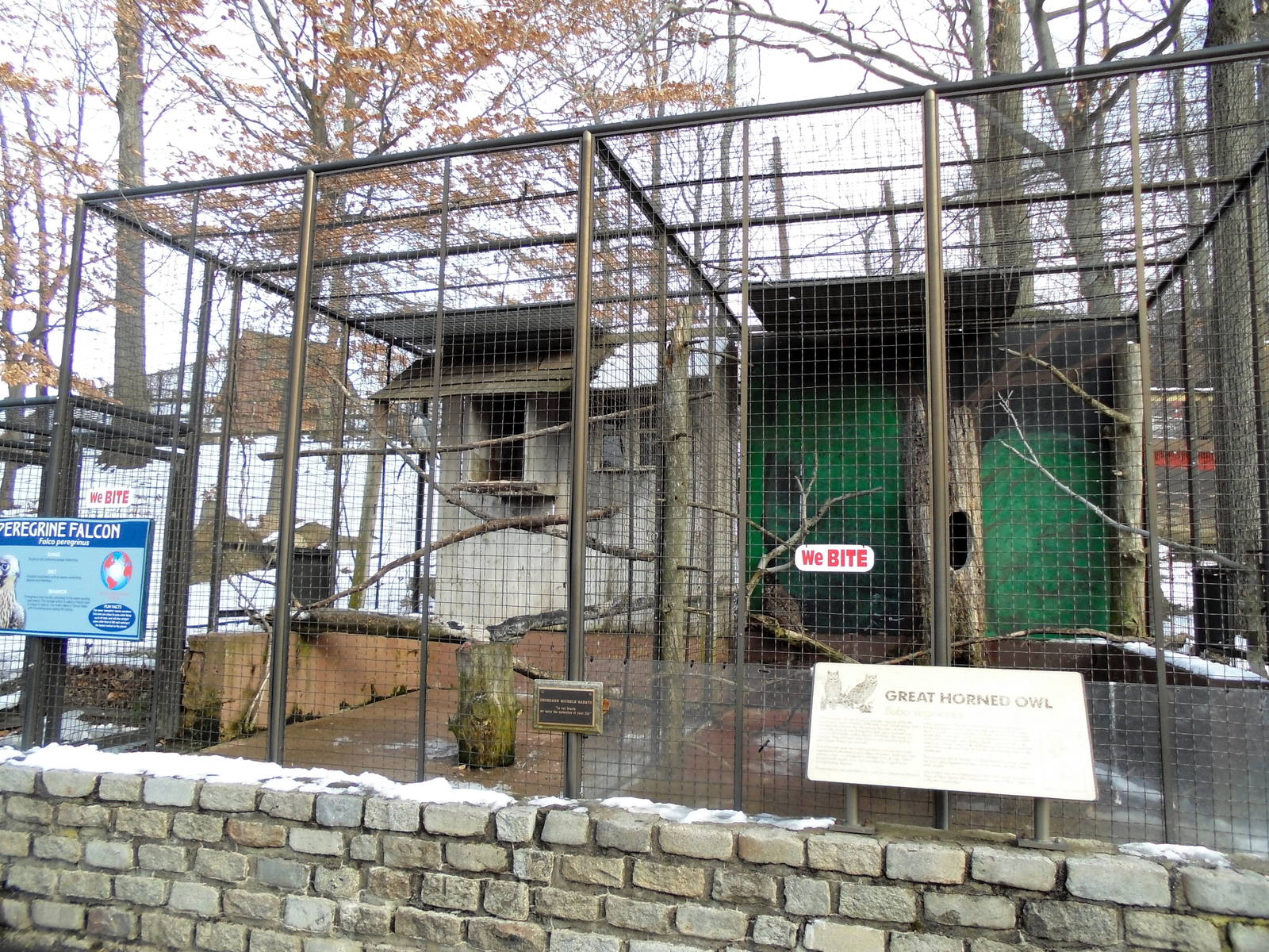 Peregrine Falcon & Great Horned Owl Exhibits