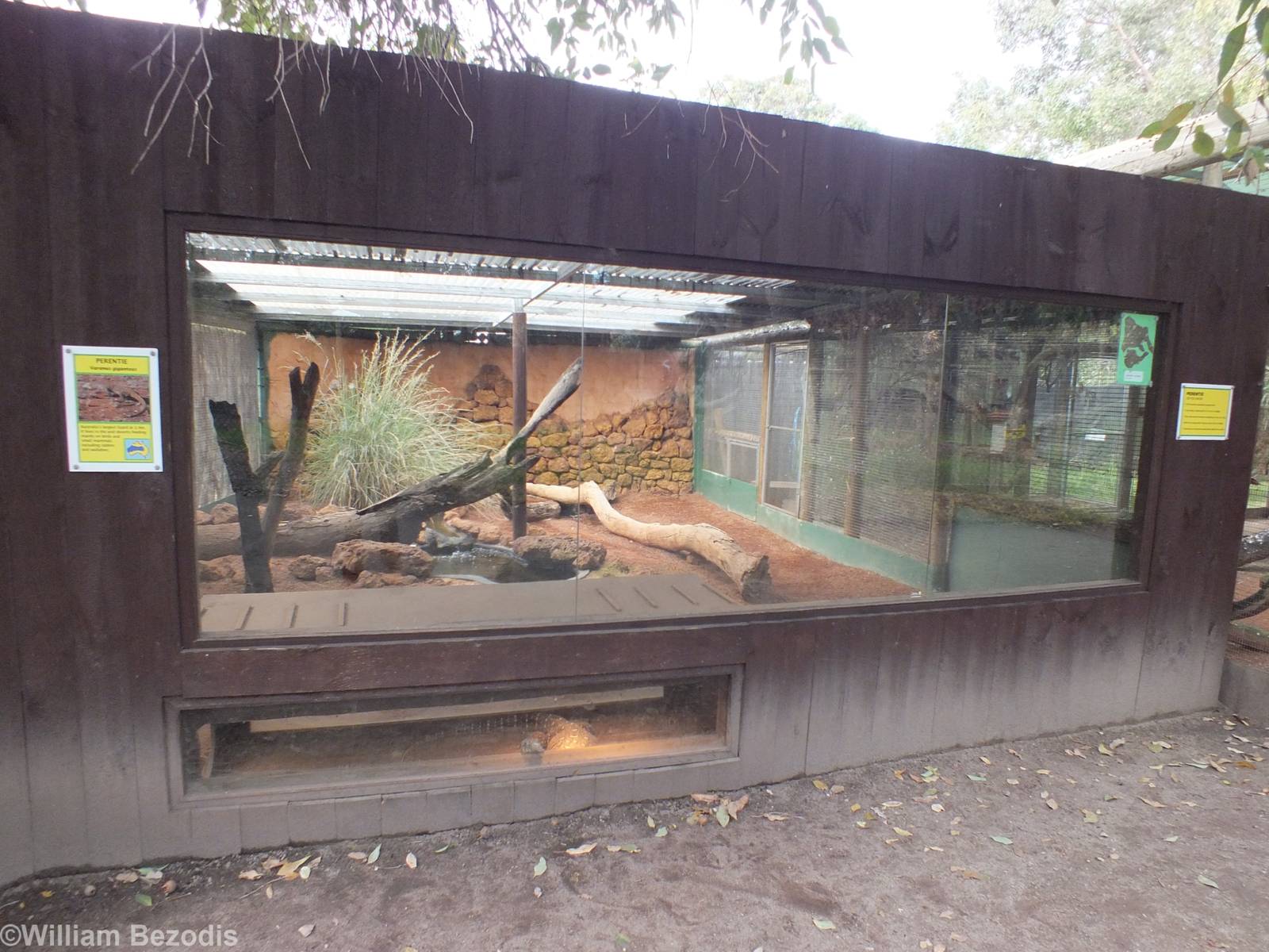 Perentie Enclosure - Caversham Wildlife Park