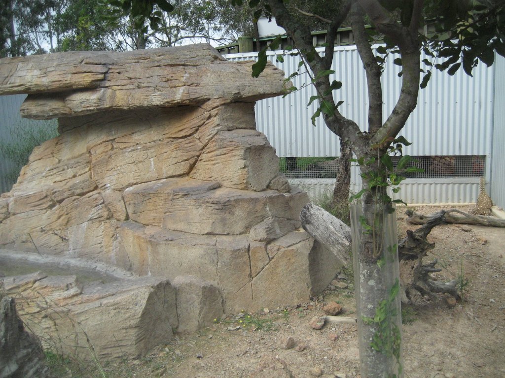 Perentie enclosure