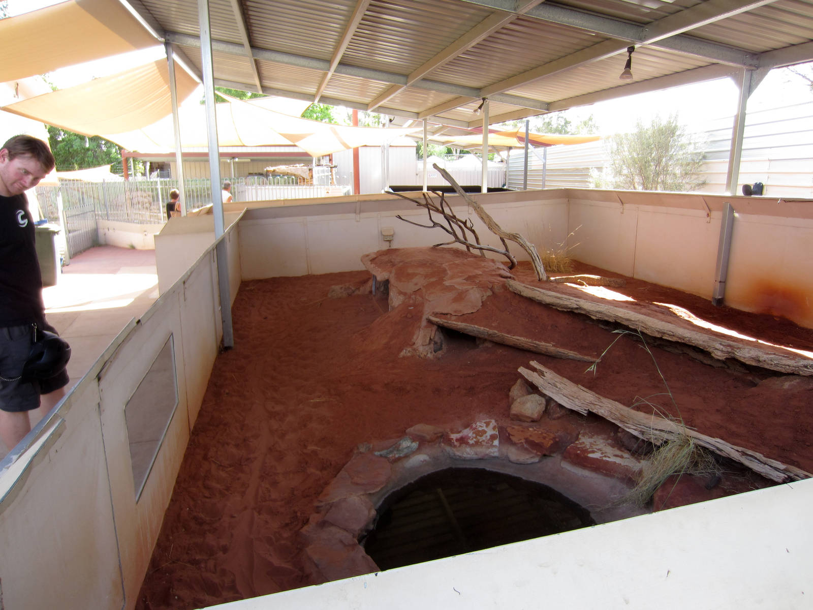 Perentie enclosure