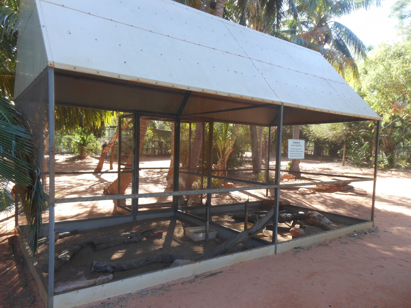 Perentie enclosure