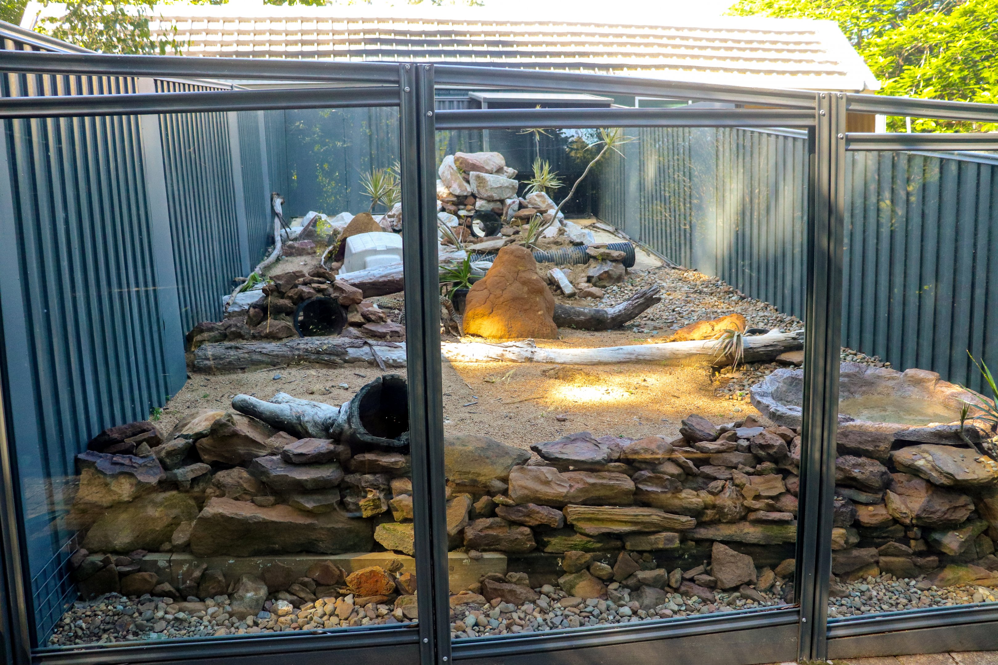 Perentie Enclosure