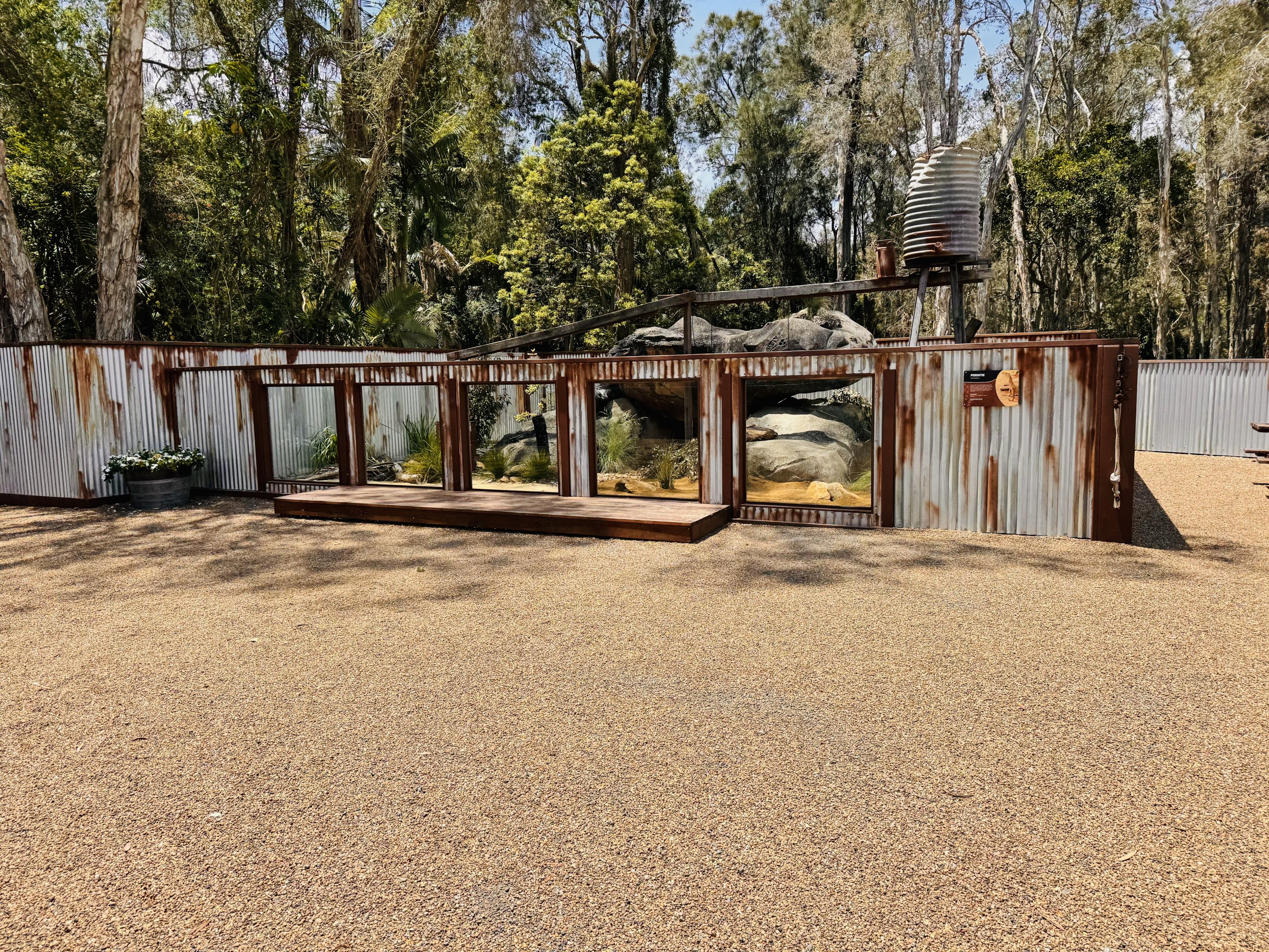 Perentie enclosure