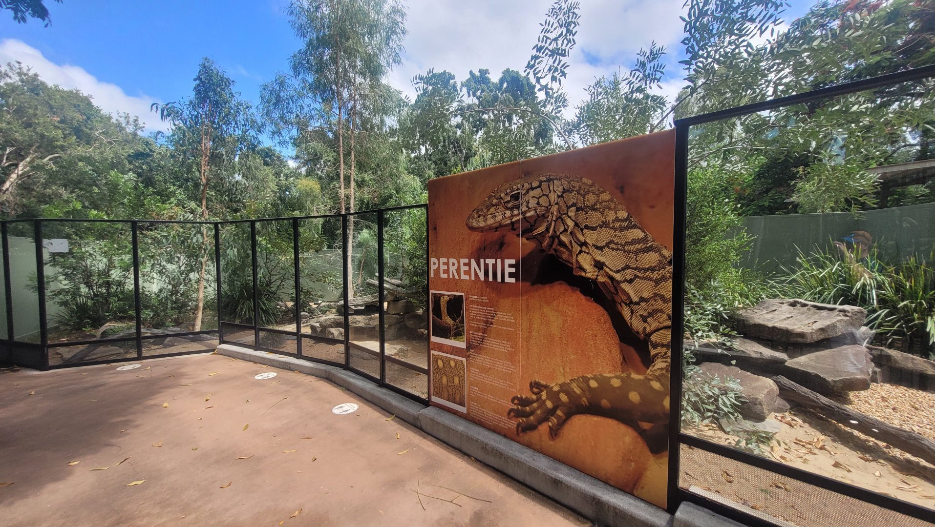 Perentie enclosures