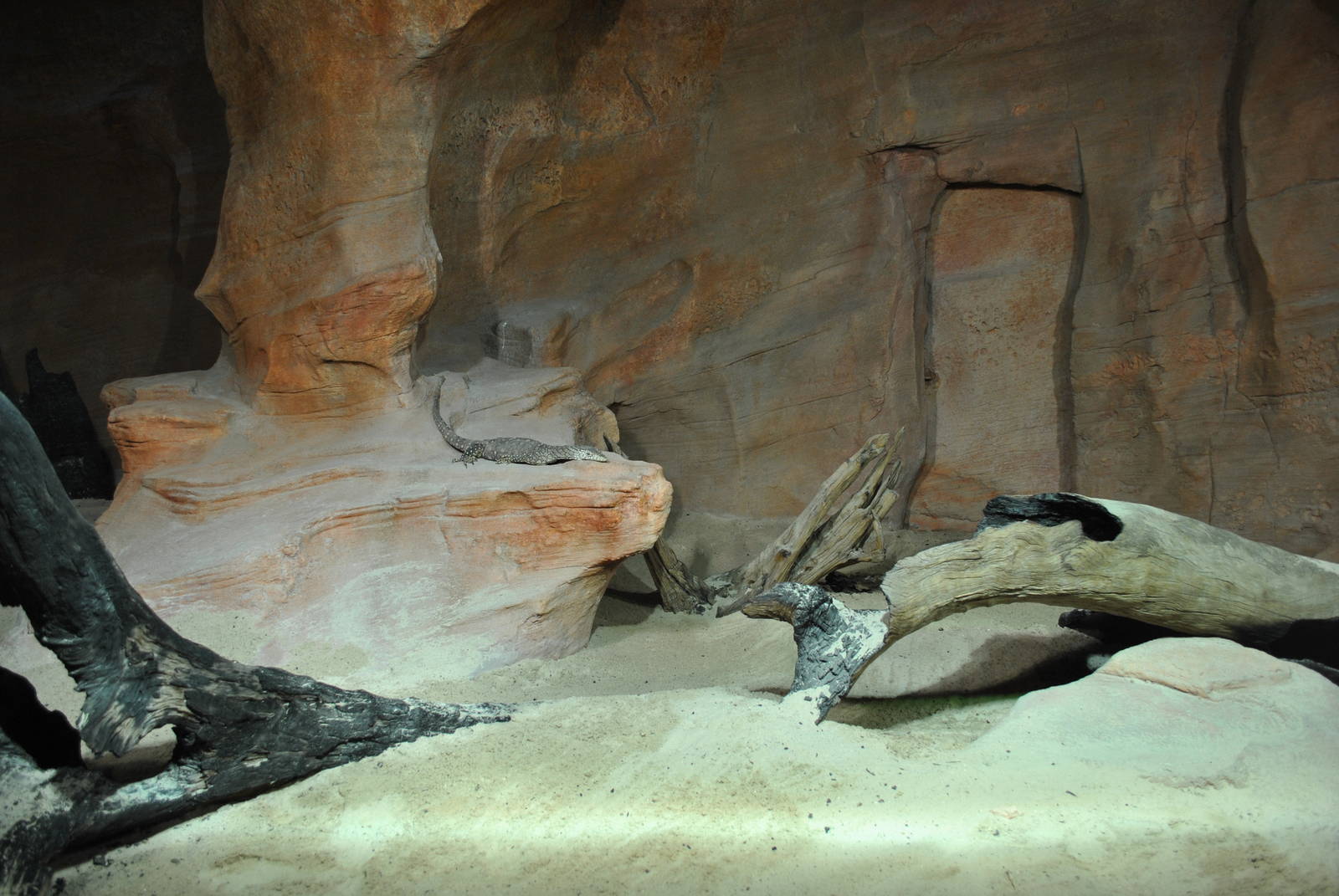 Perentie Exhibit 11/2012