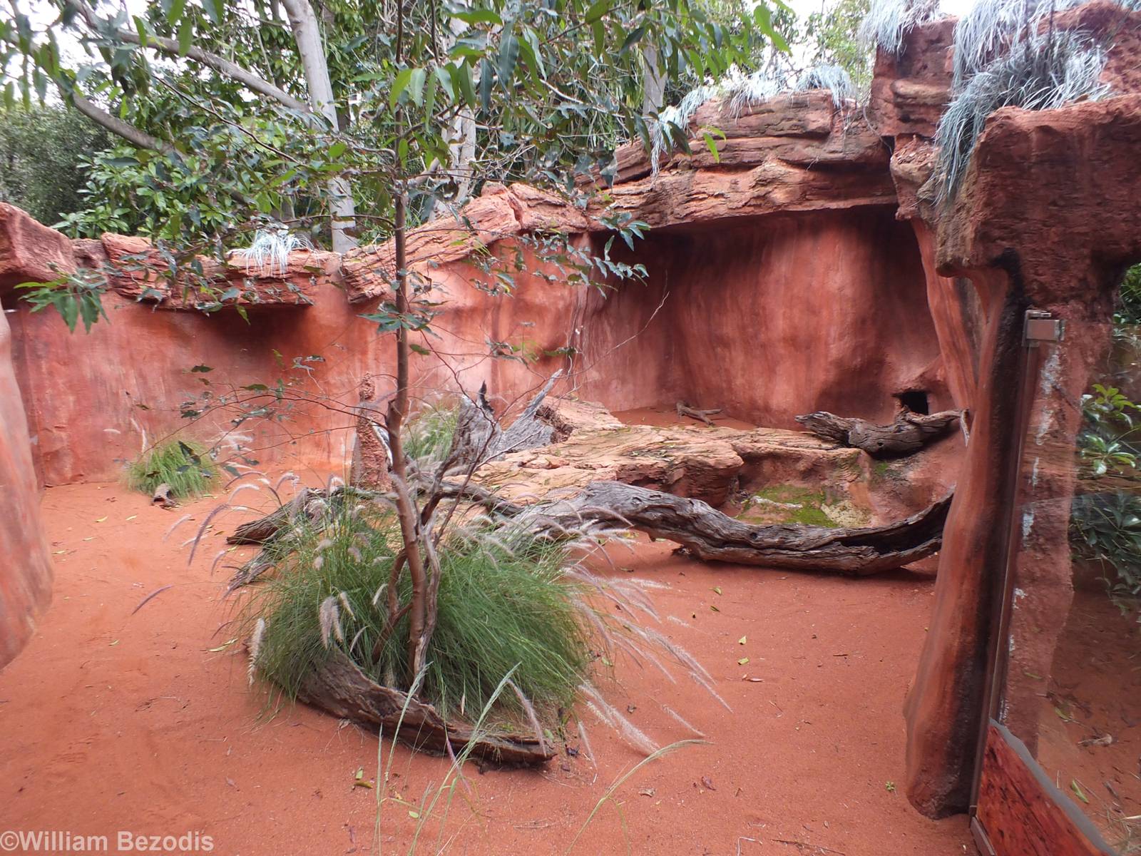Perentie Outdoor Enclosure