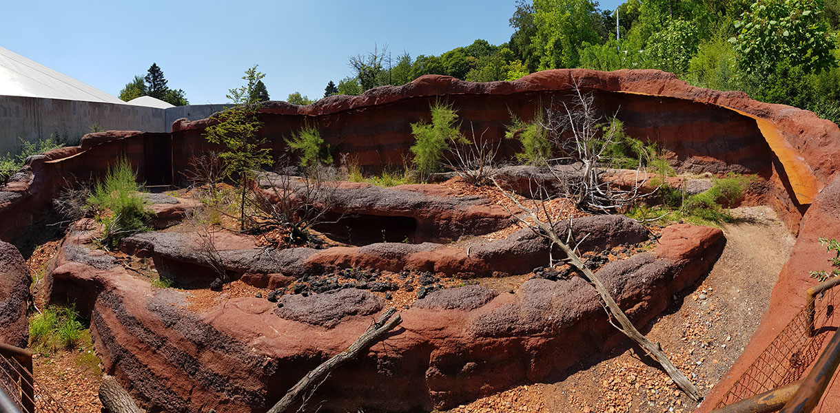 Perentie outdoors panorama