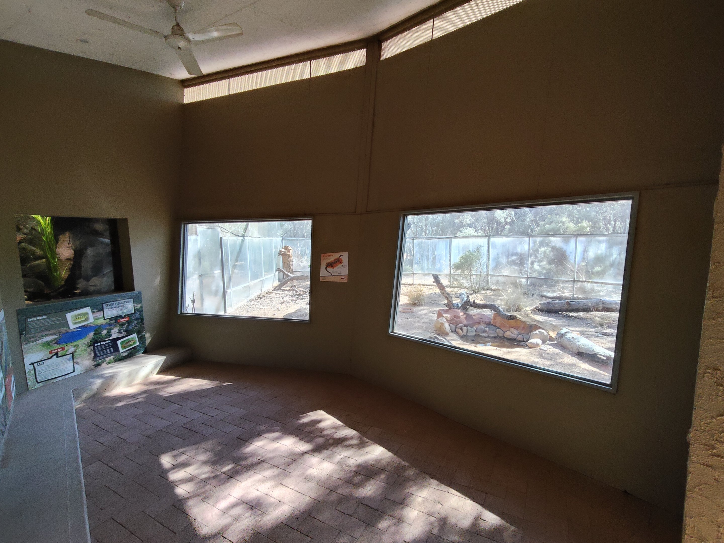 Perentie (Varanus giganteus) enclosure