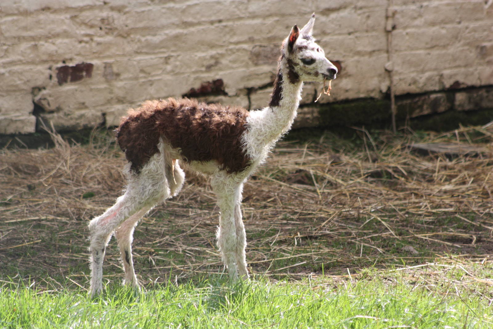 Perfect timing for the Bank Holiday, 24th August 2014