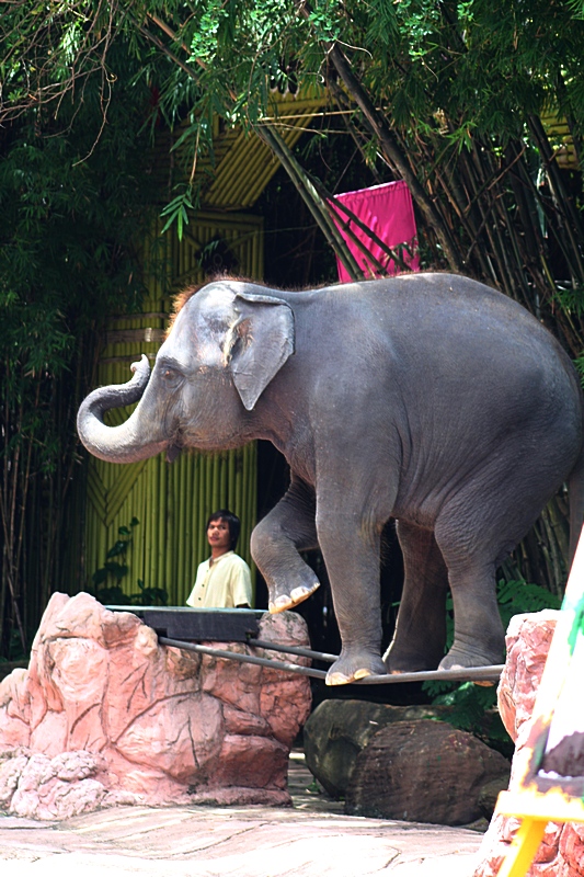 Performing at two iron bars: stepping on them, turning around and going b